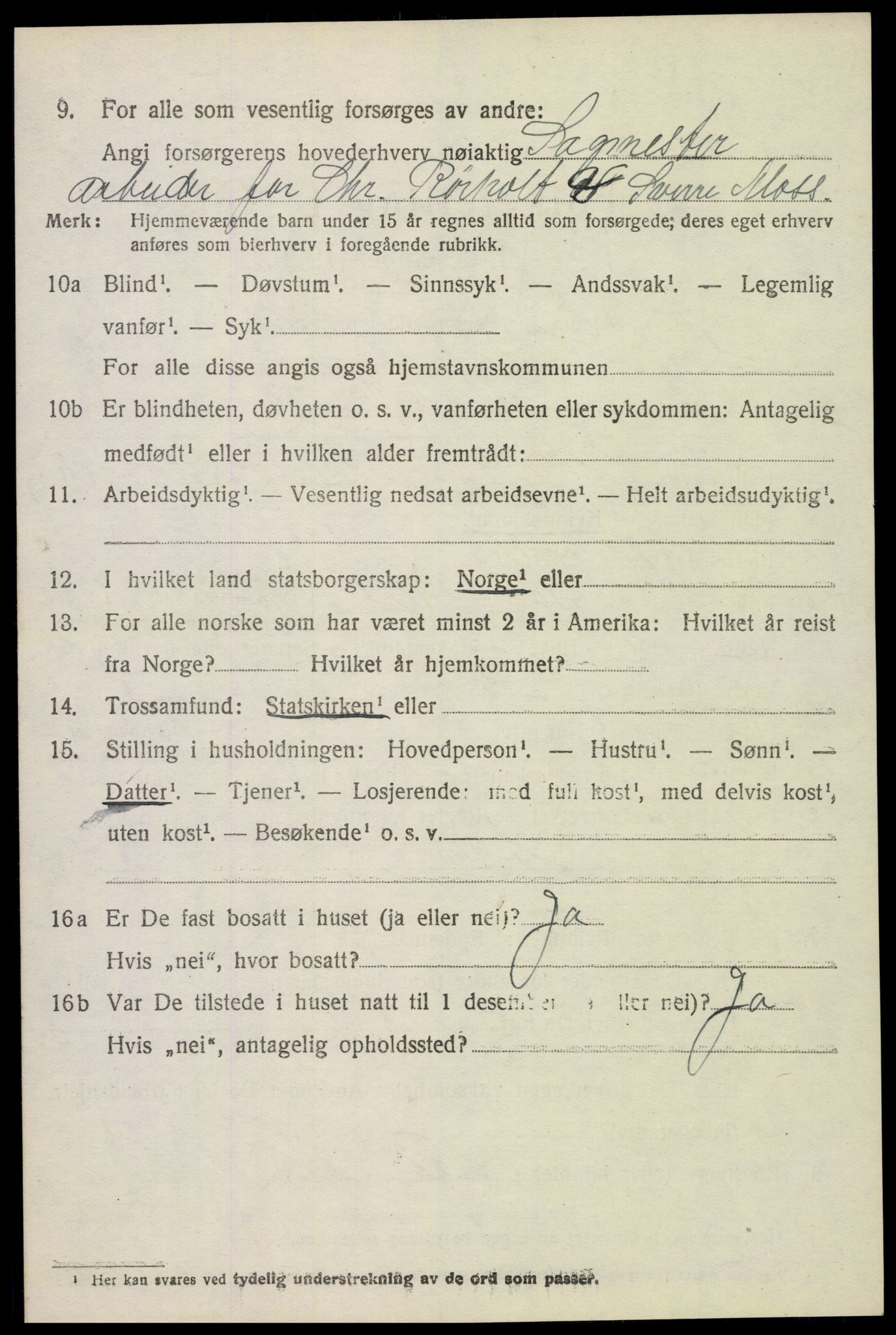 SAH, 1920 census for Sør-Odal, 1920, p. 12928