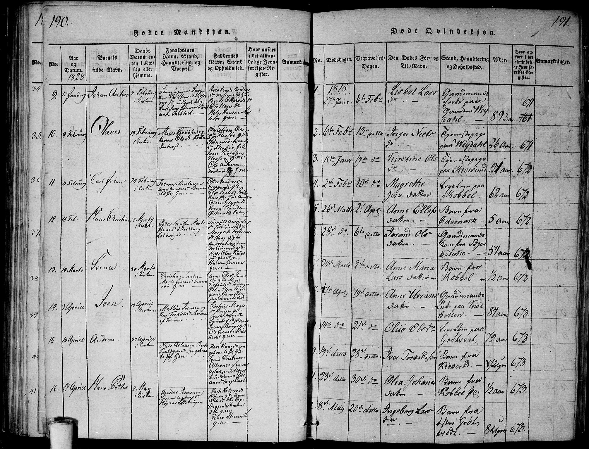 Våler prestekontor Kirkebøker, AV/SAO-A-11083/G/Ga/L0001: Parish register (copy) no. I 1, 1815-1839, p. 190-191