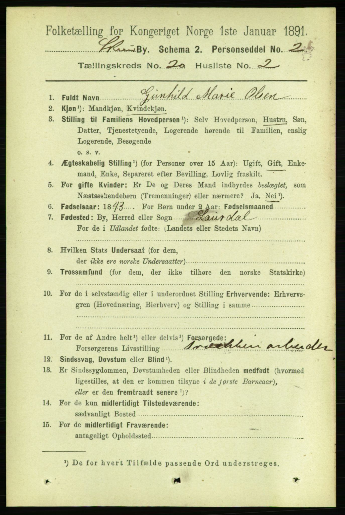 RA, 1891 census for 0806 Skien, 1891, p. 5128