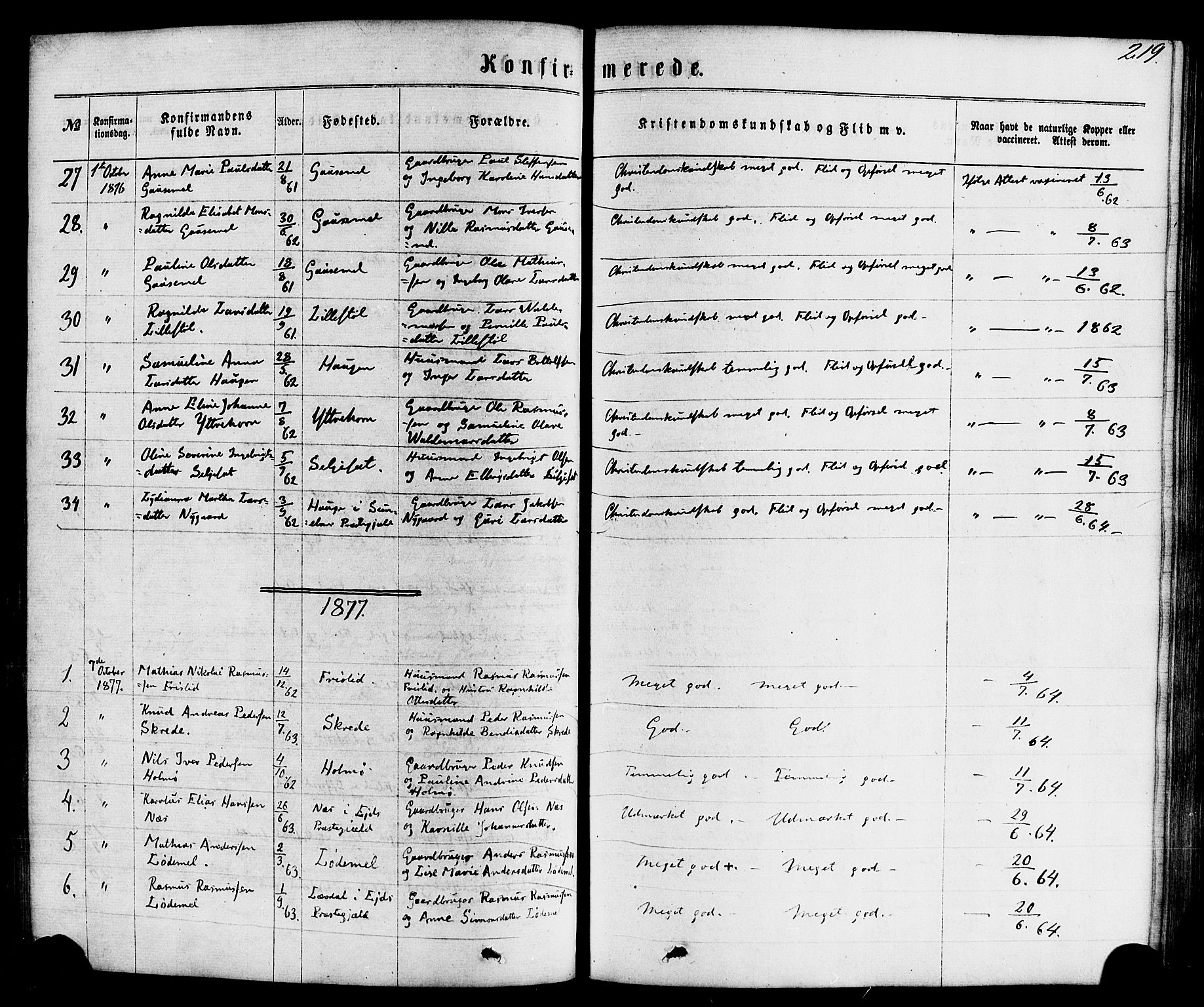 Hornindal sokneprestembete, SAB/A-82401/H/Haa/Haaa/L0002: Parish register (official) no. A 2, 1867-1884, p. 219