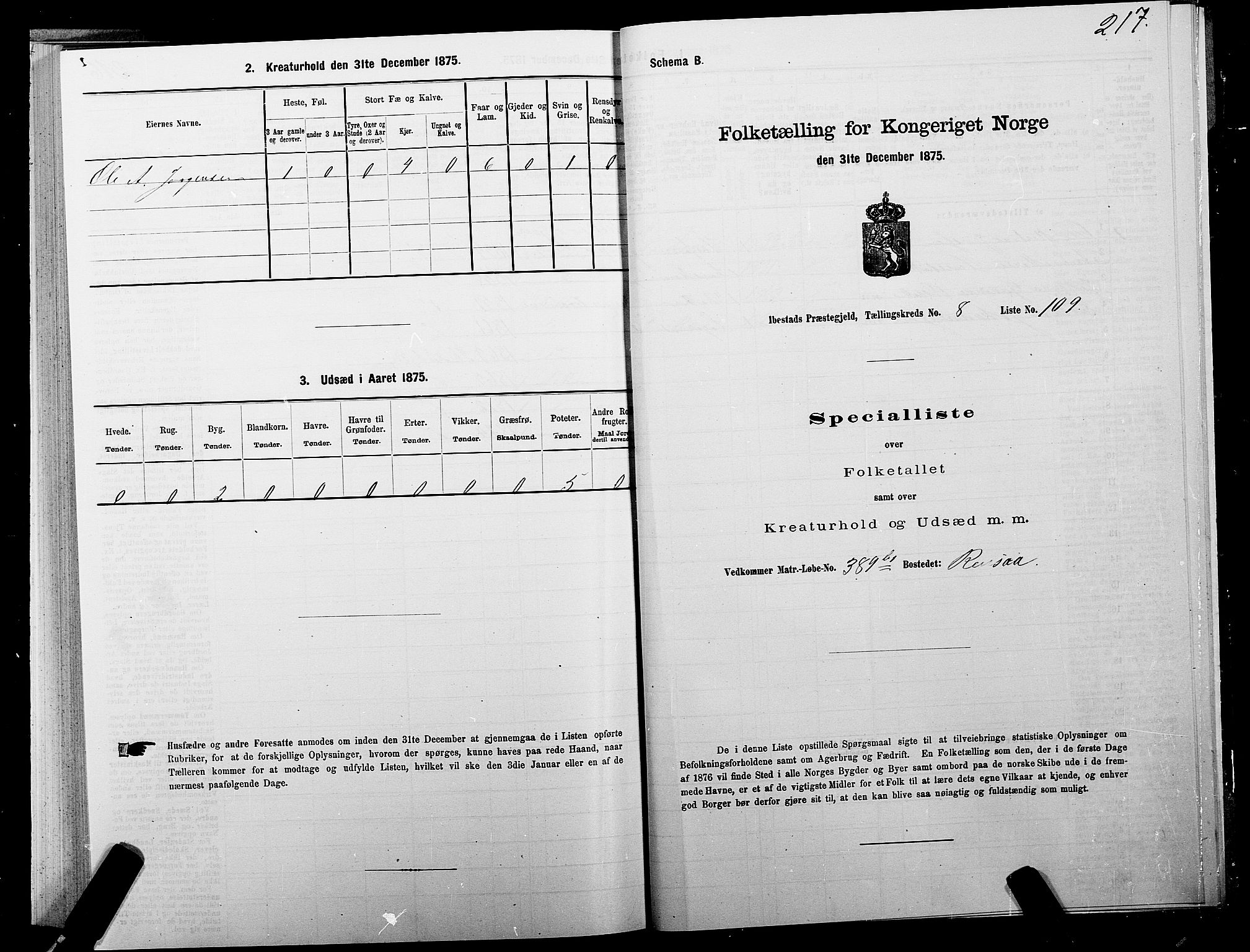 SATØ, 1875 census for 1917P Ibestad, 1875, p. 5217