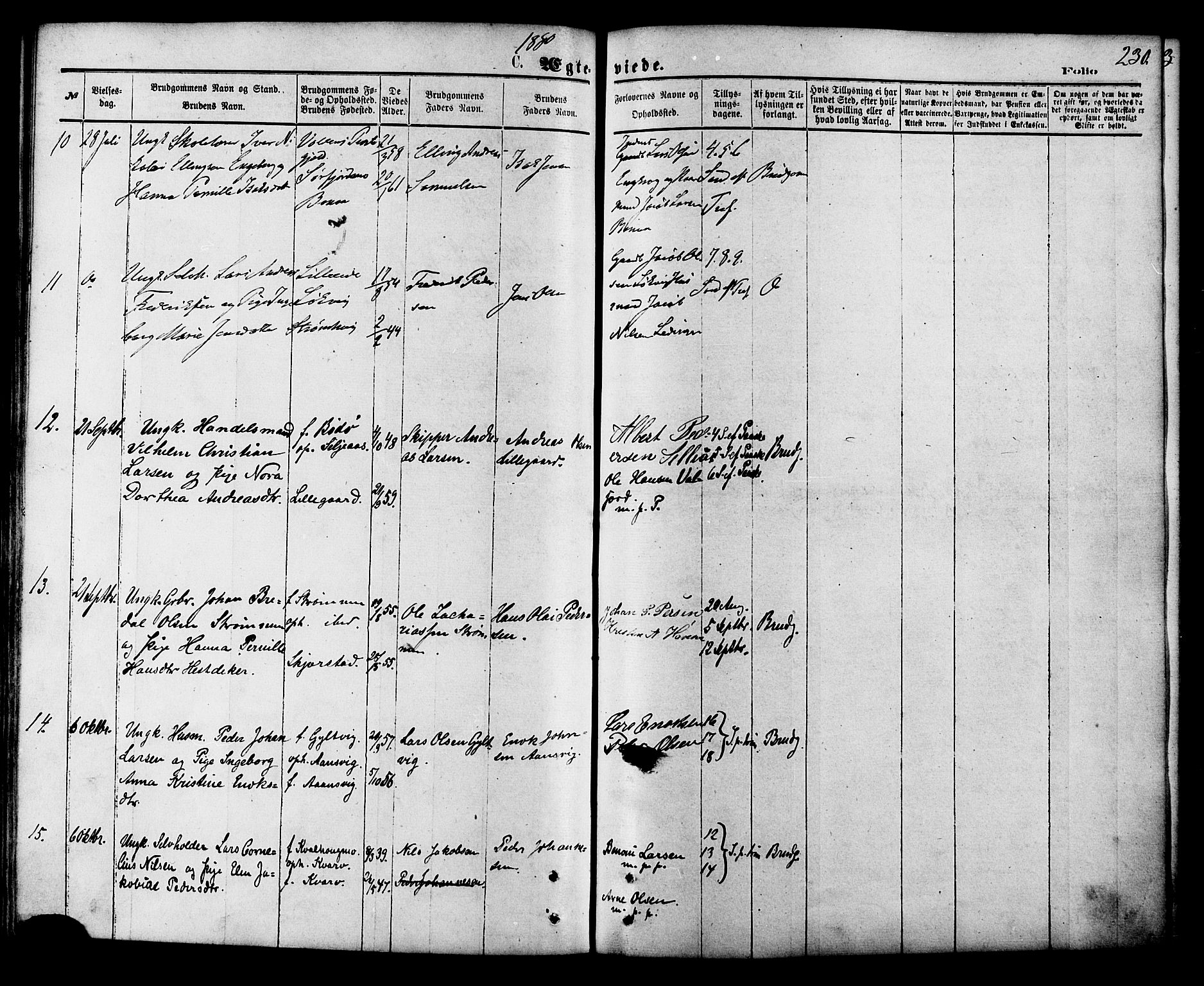 Ministerialprotokoller, klokkerbøker og fødselsregistre - Nordland, AV/SAT-A-1459/853/L0771: Parish register (official) no. 853A10, 1870-1881, p. 230