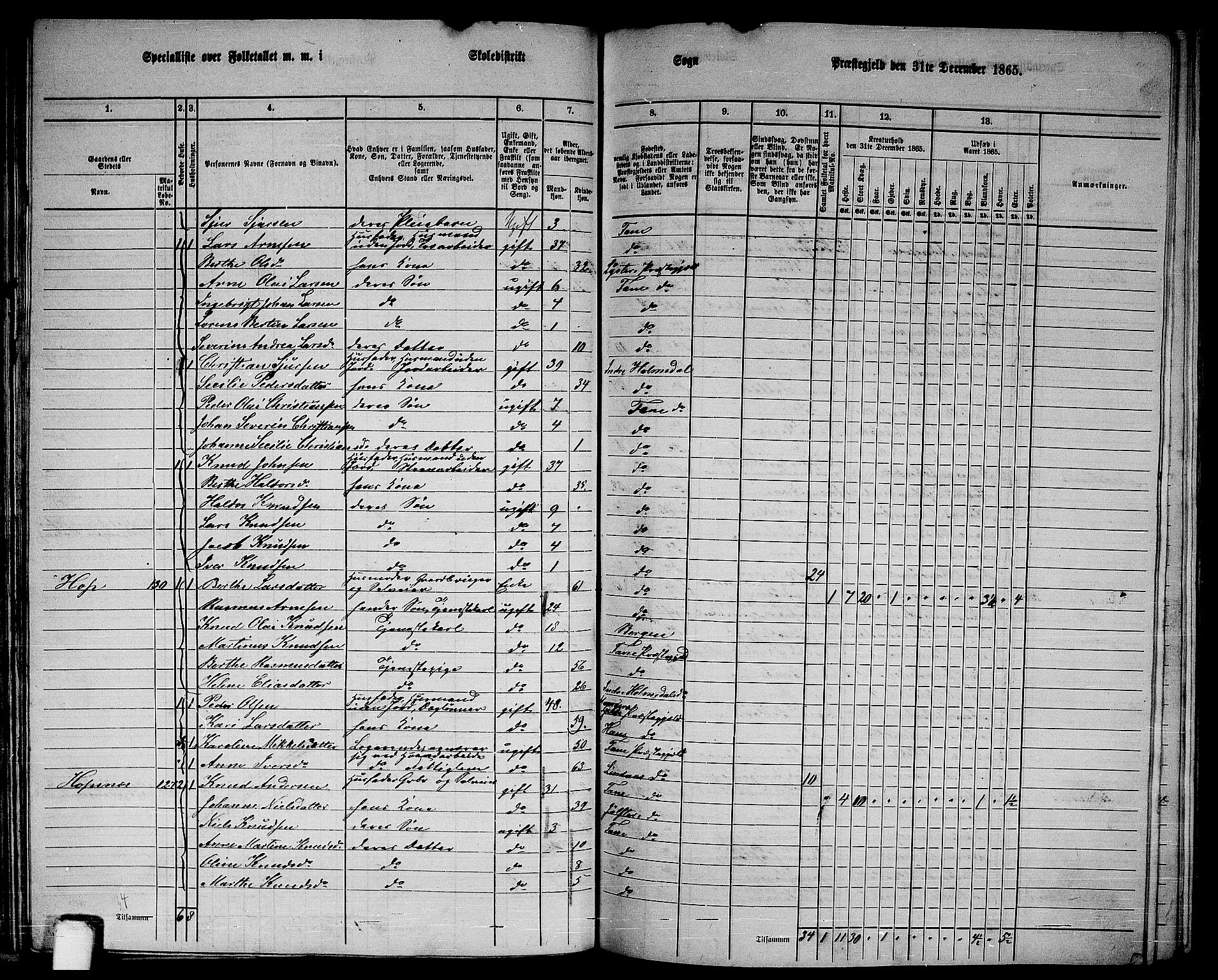 RA, 1865 census for Fana, 1865, p. 62