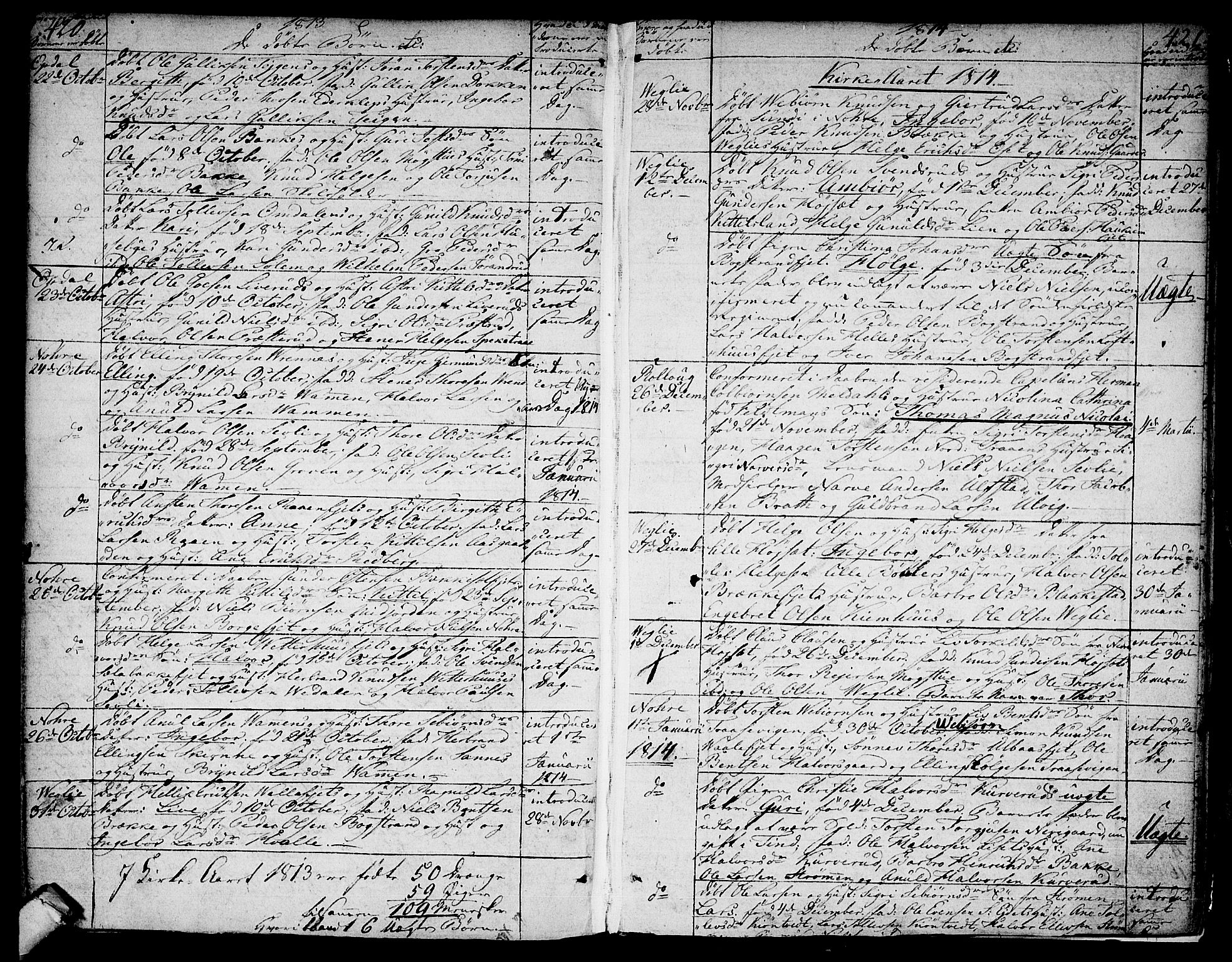 Rollag kirkebøker, AV/SAKO-A-240/F/Fa/L0005: Parish register (official) no. I 5, 1792-1814, p. 420-421