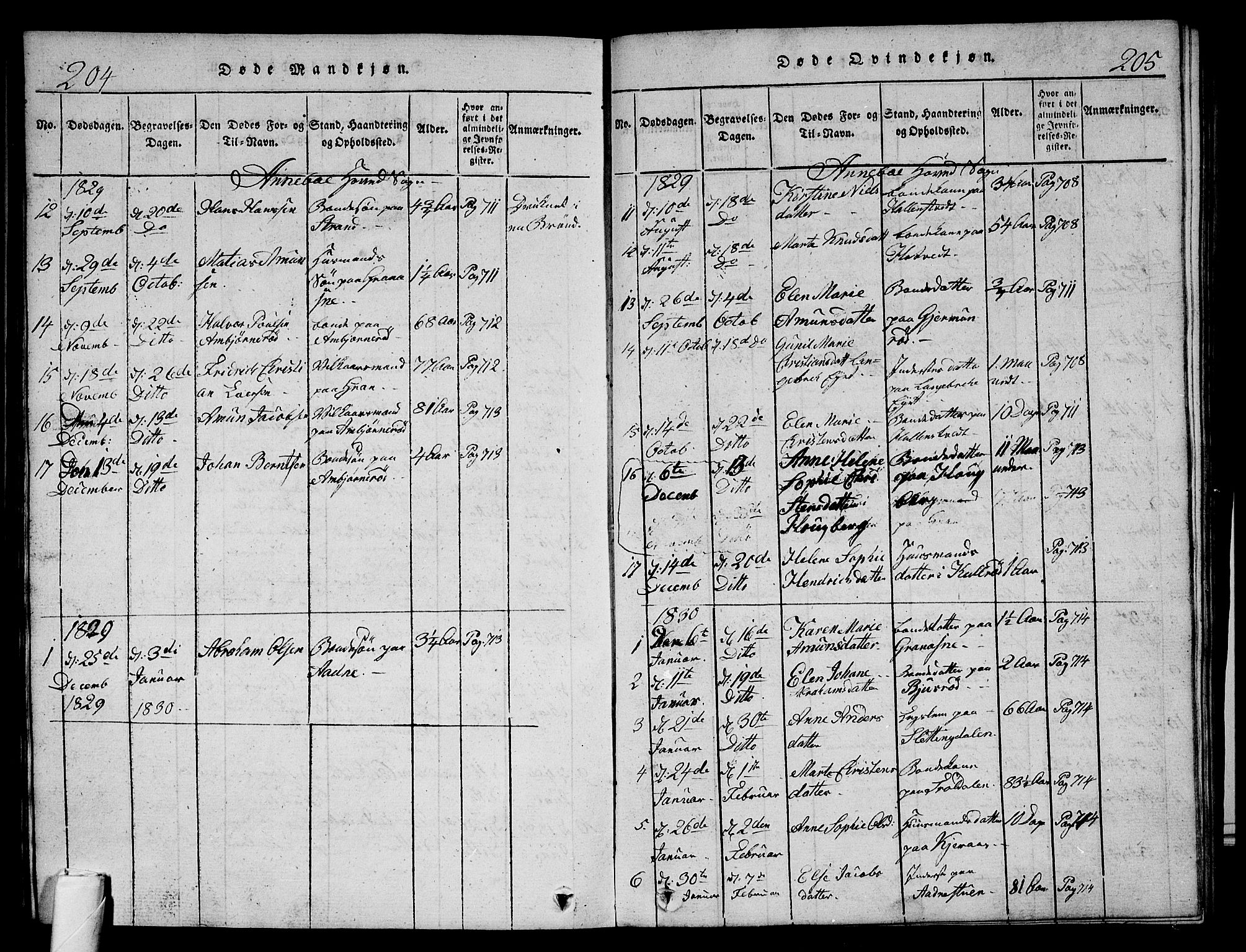 Andebu kirkebøker, AV/SAKO-A-336/G/Ga/L0002: Parish register (copy) no. I 2 /1, 1823-1832, p. 204-205