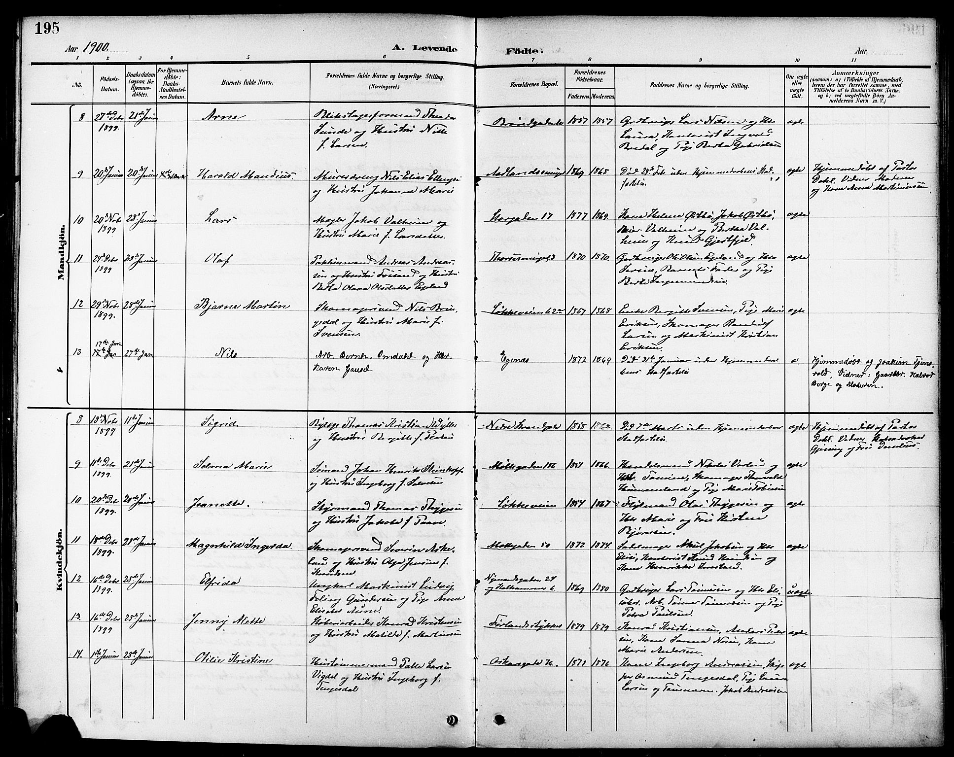 Domkirken sokneprestkontor, AV/SAST-A-101812/001/30/30BB/L0016: Parish register (copy) no. B 16, 1891-1902, p. 195