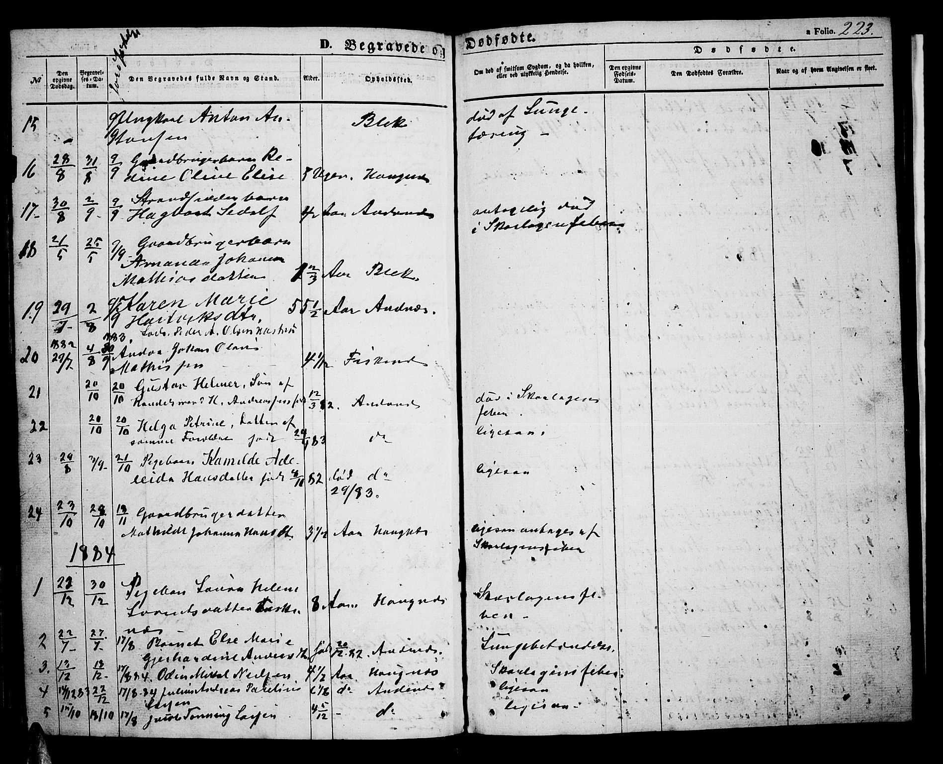 Ministerialprotokoller, klokkerbøker og fødselsregistre - Nordland, SAT/A-1459/899/L1447: Parish register (copy) no. 899C02, 1855-1886, p. 223