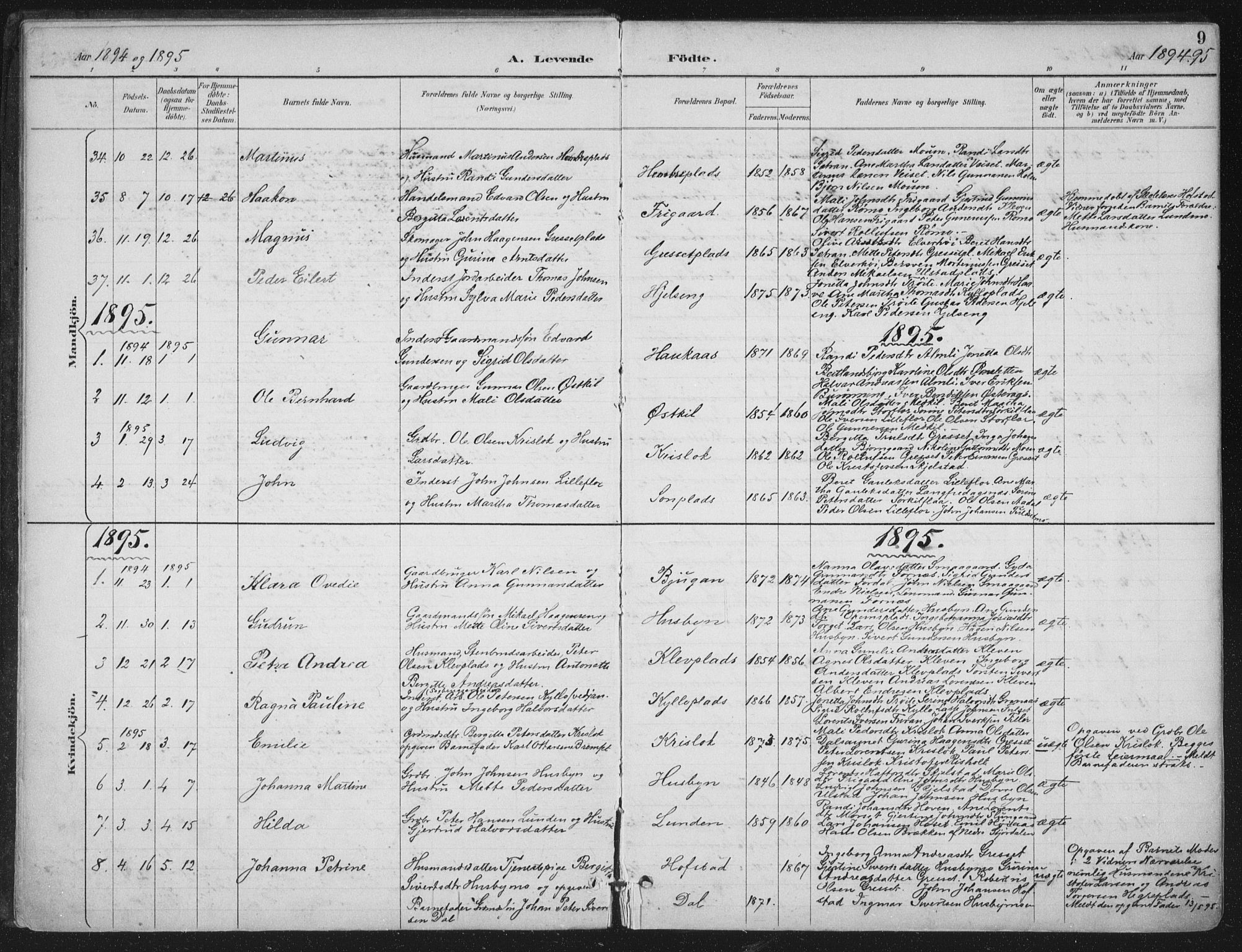 Ministerialprotokoller, klokkerbøker og fødselsregistre - Nord-Trøndelag, SAT/A-1458/703/L0031: Parish register (official) no. 703A04, 1893-1914, p. 9