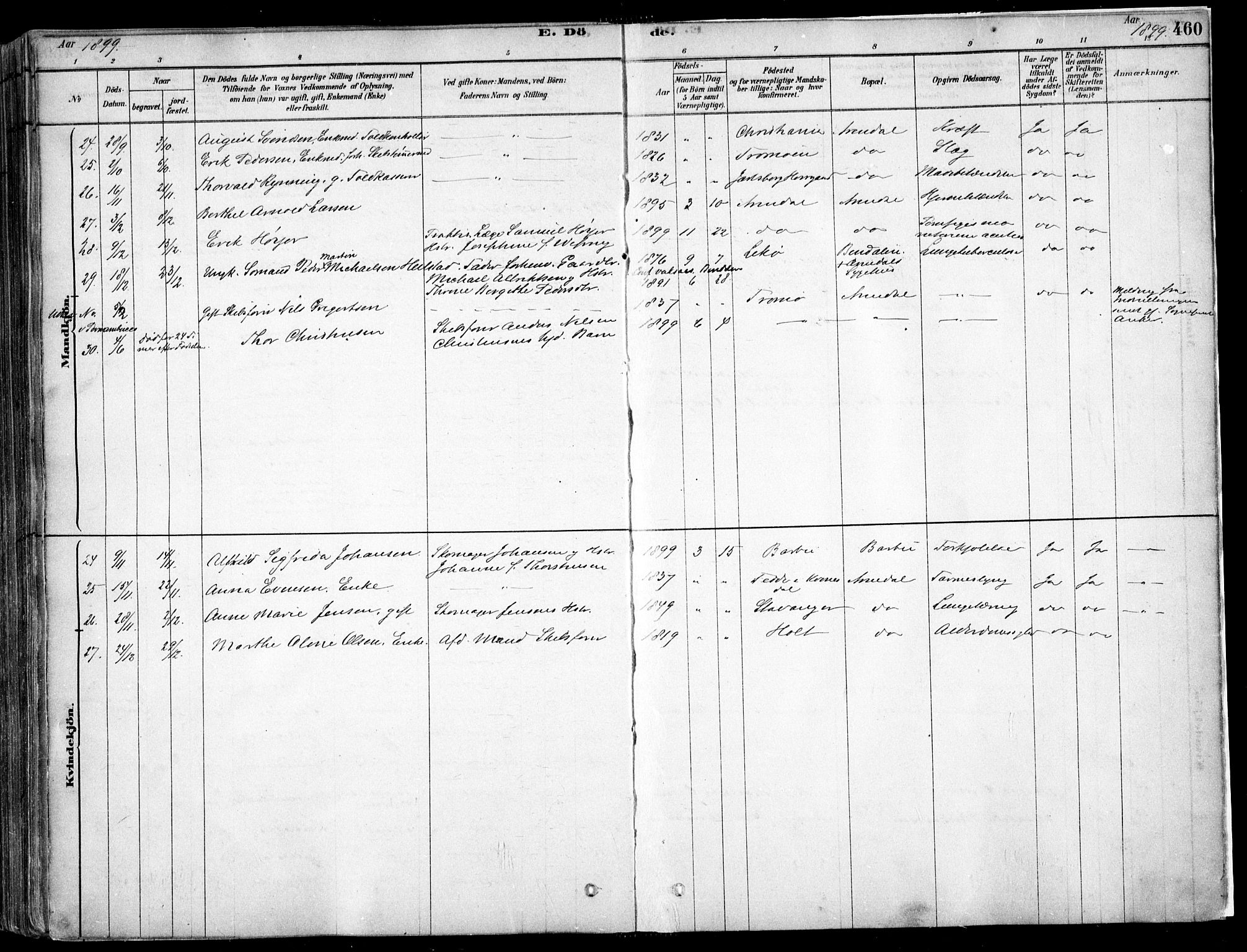 Arendal sokneprestkontor, Trefoldighet, SAK/1111-0040/F/Fa/L0008: Parish register (official) no. A 8, 1878-1899, p. 460