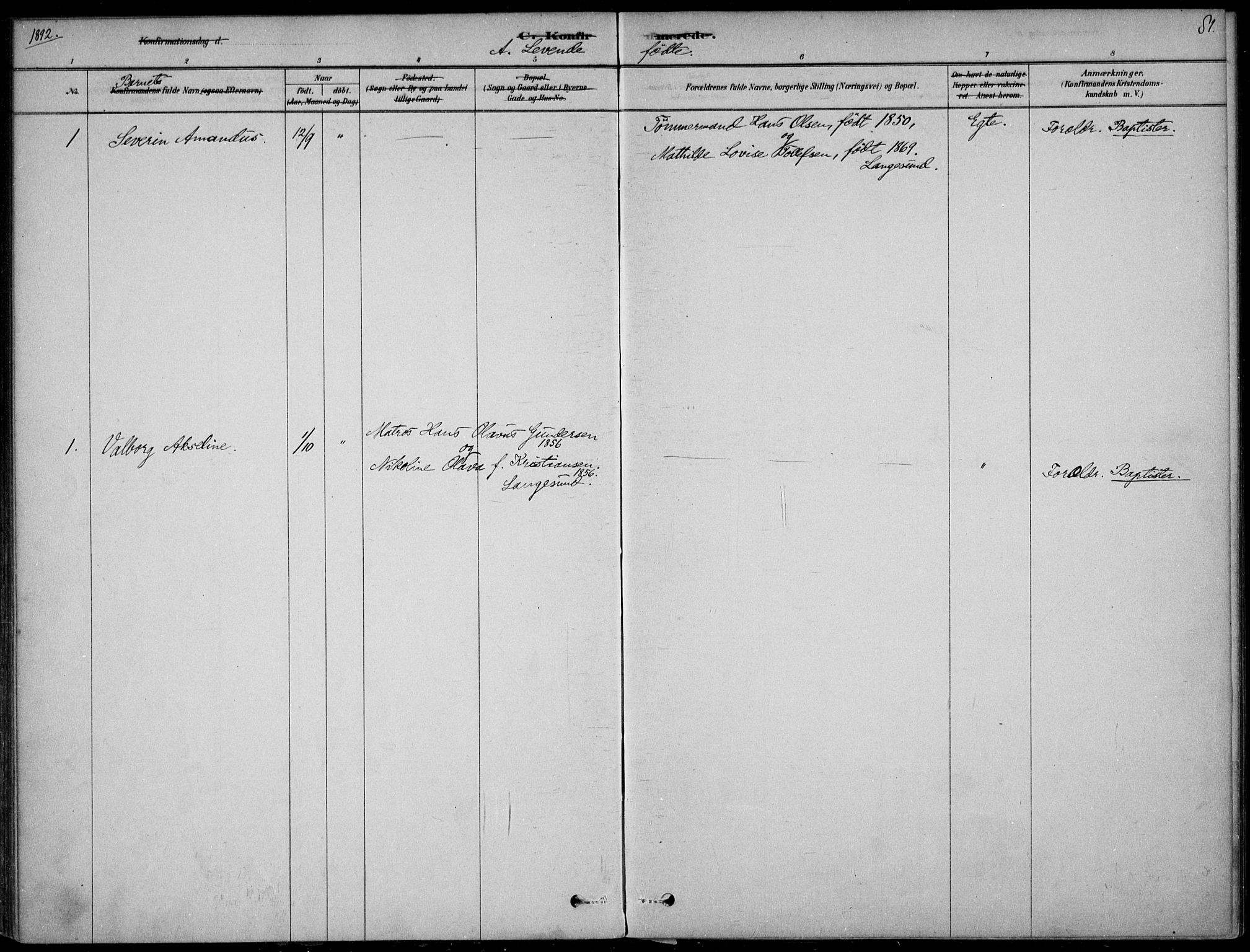 Langesund kirkebøker, SAKO/A-280/F/Fa/L0002: Parish register (official) no. 2, 1878-1892, p. 81