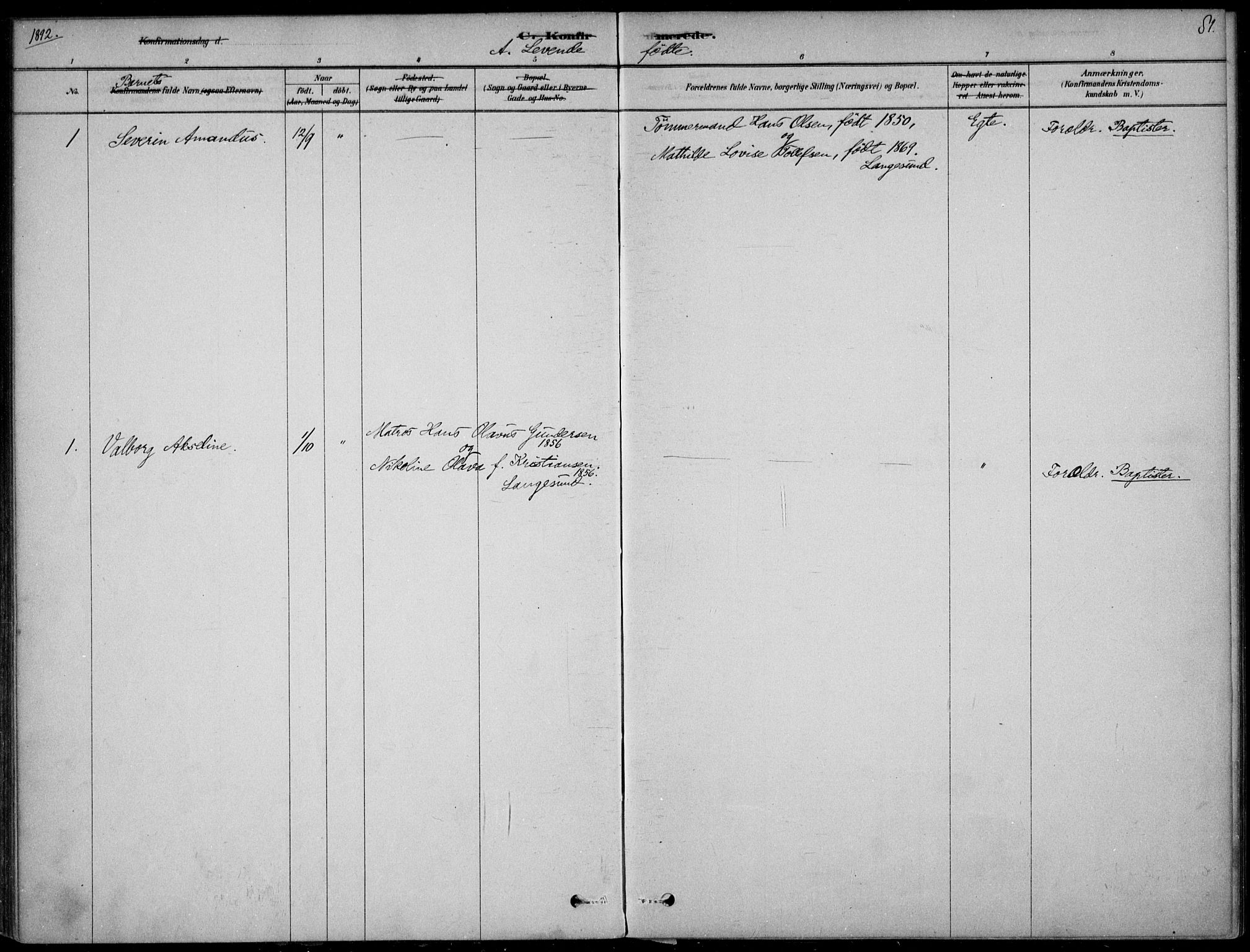 Langesund kirkebøker, AV/SAKO-A-280/F/Fa/L0002: Parish register (official) no. 2, 1878-1892, p. 81