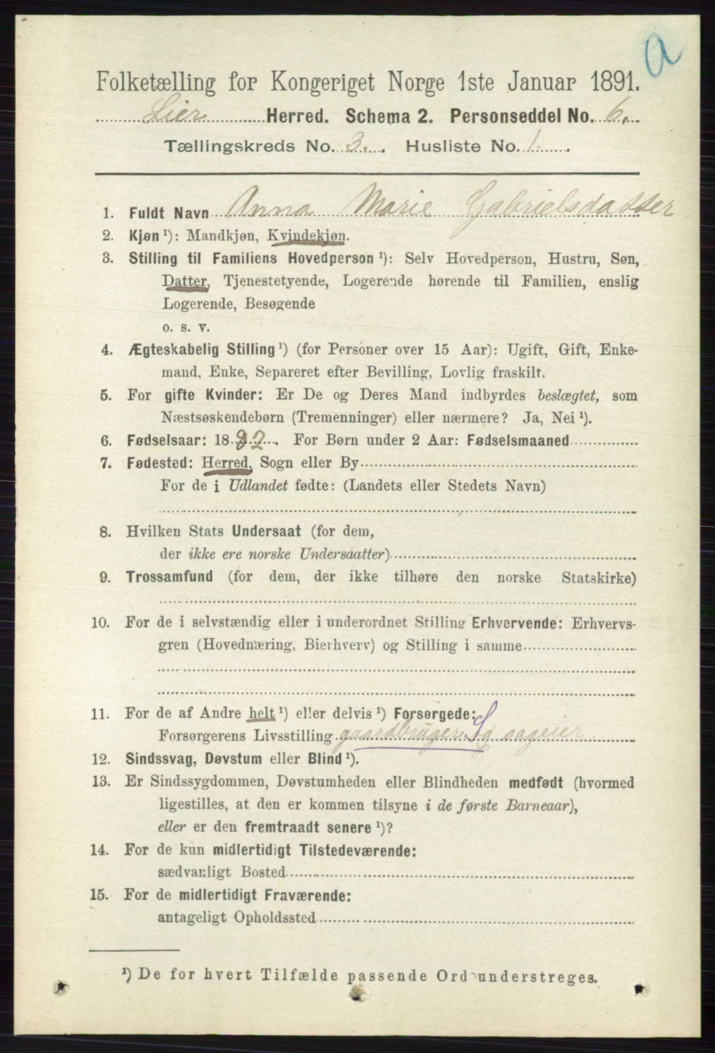 RA, 1891 census for 0626 Lier, 1891, p. 2499