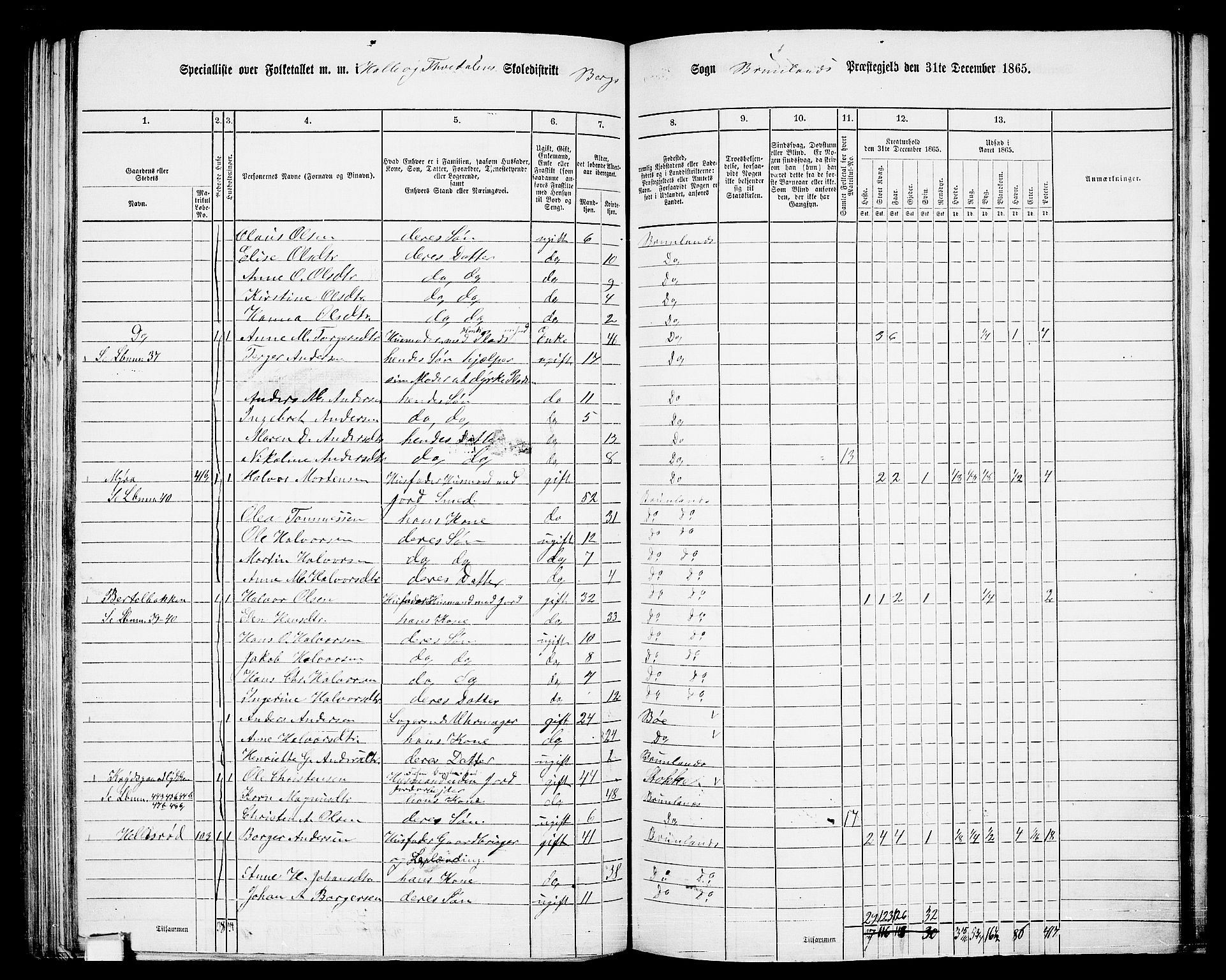 RA, 1865 census for Brunlanes, 1865, p. 112