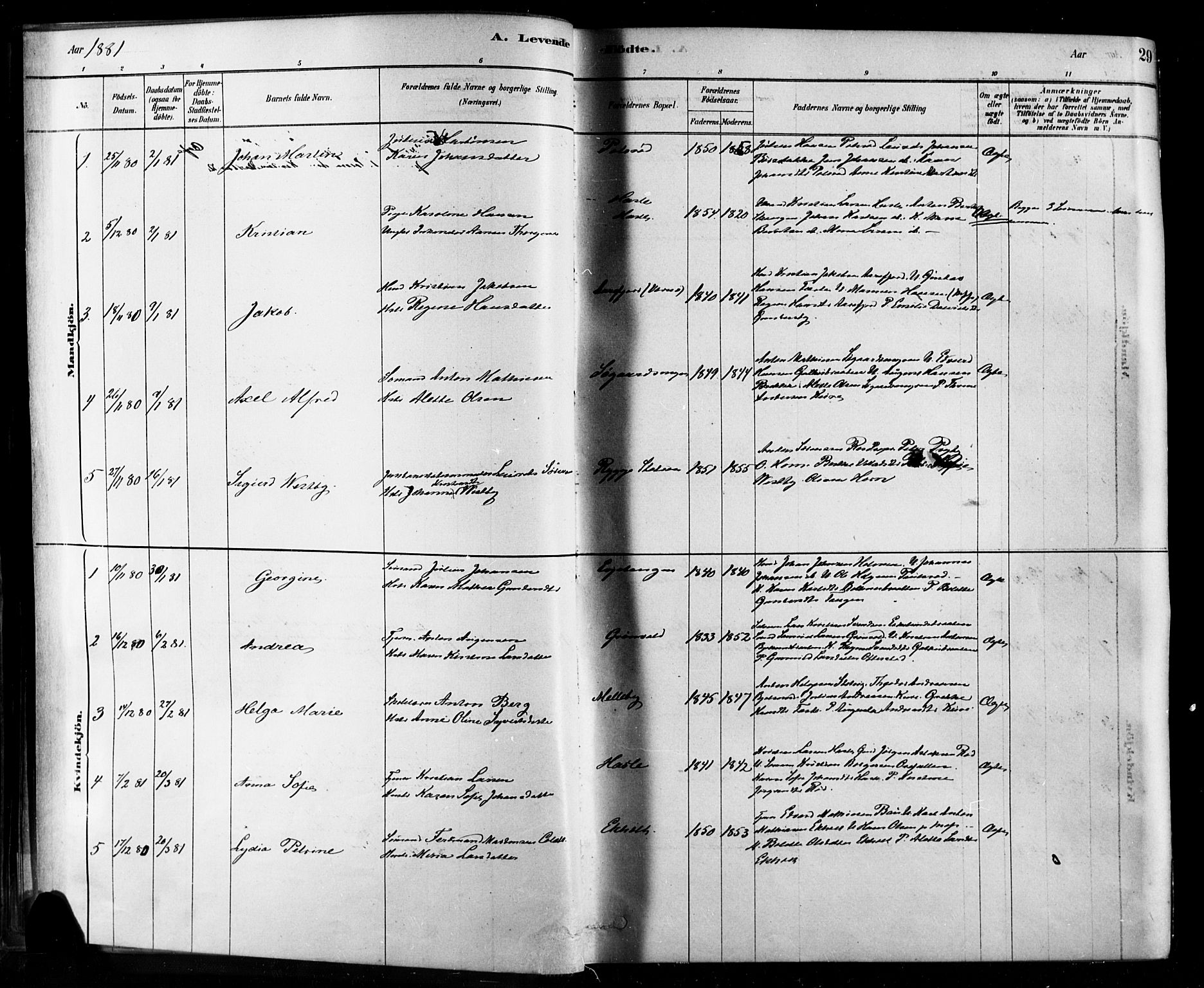 Rygge prestekontor Kirkebøker, AV/SAO-A-10084b/F/Fa/L0007: Parish register (official) no. 7, 1878-1904, p. 29