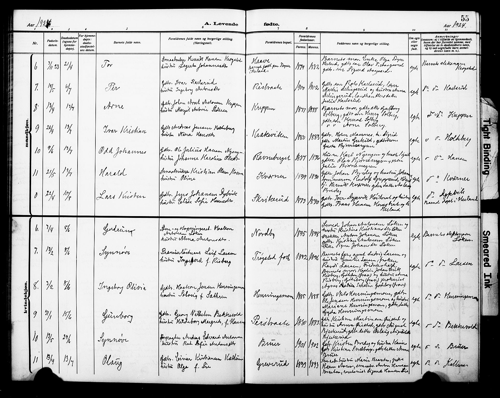 Trøgstad prestekontor Kirkebøker, AV/SAO-A-10925/G/Ga/L0002: Parish register (copy) no. I 2, 1911-1929, p. 55