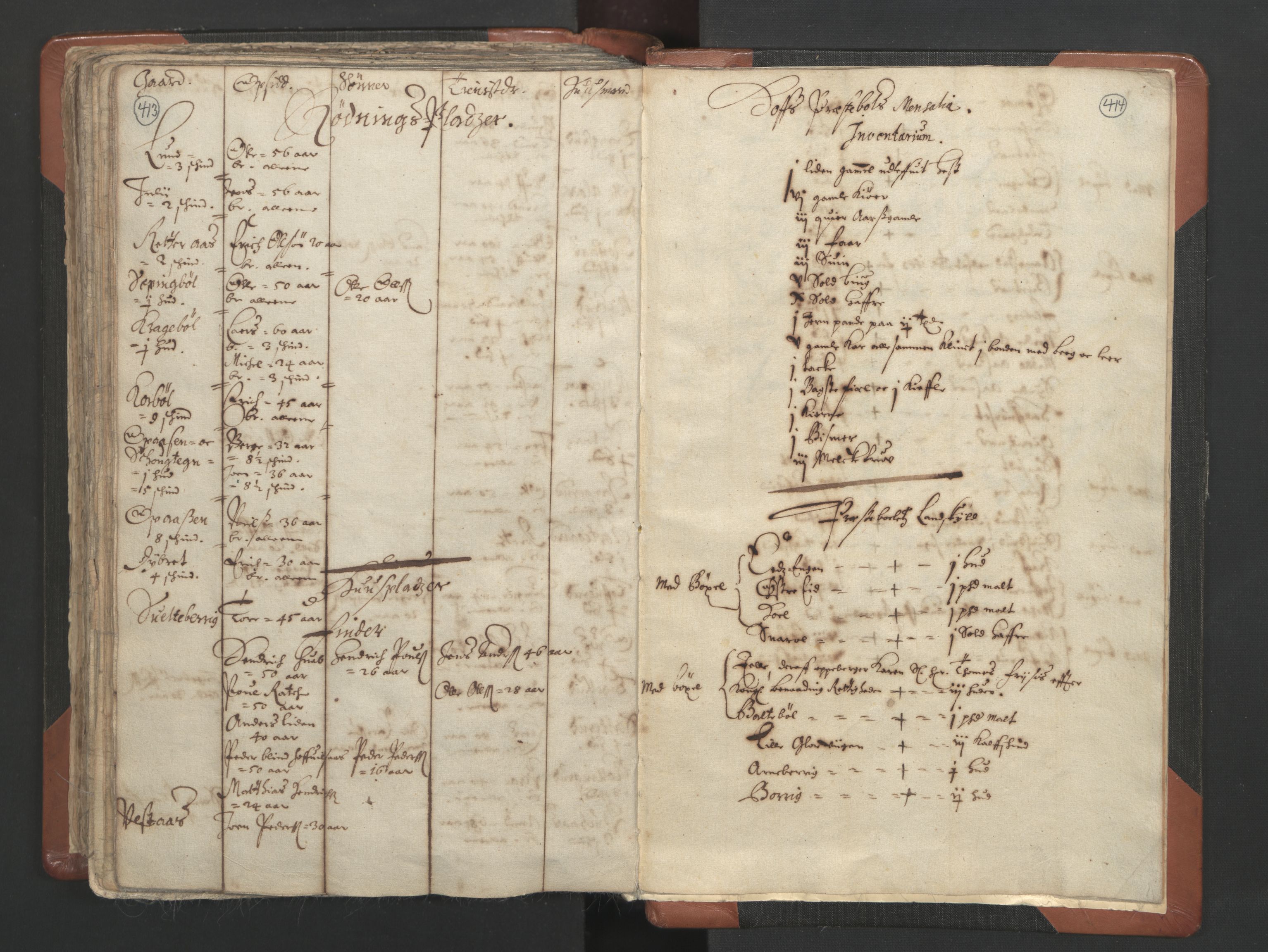 RA, Vicar's Census 1664-1666, no. 4: Øvre Romerike deanery, 1664-1666, p. 413-414