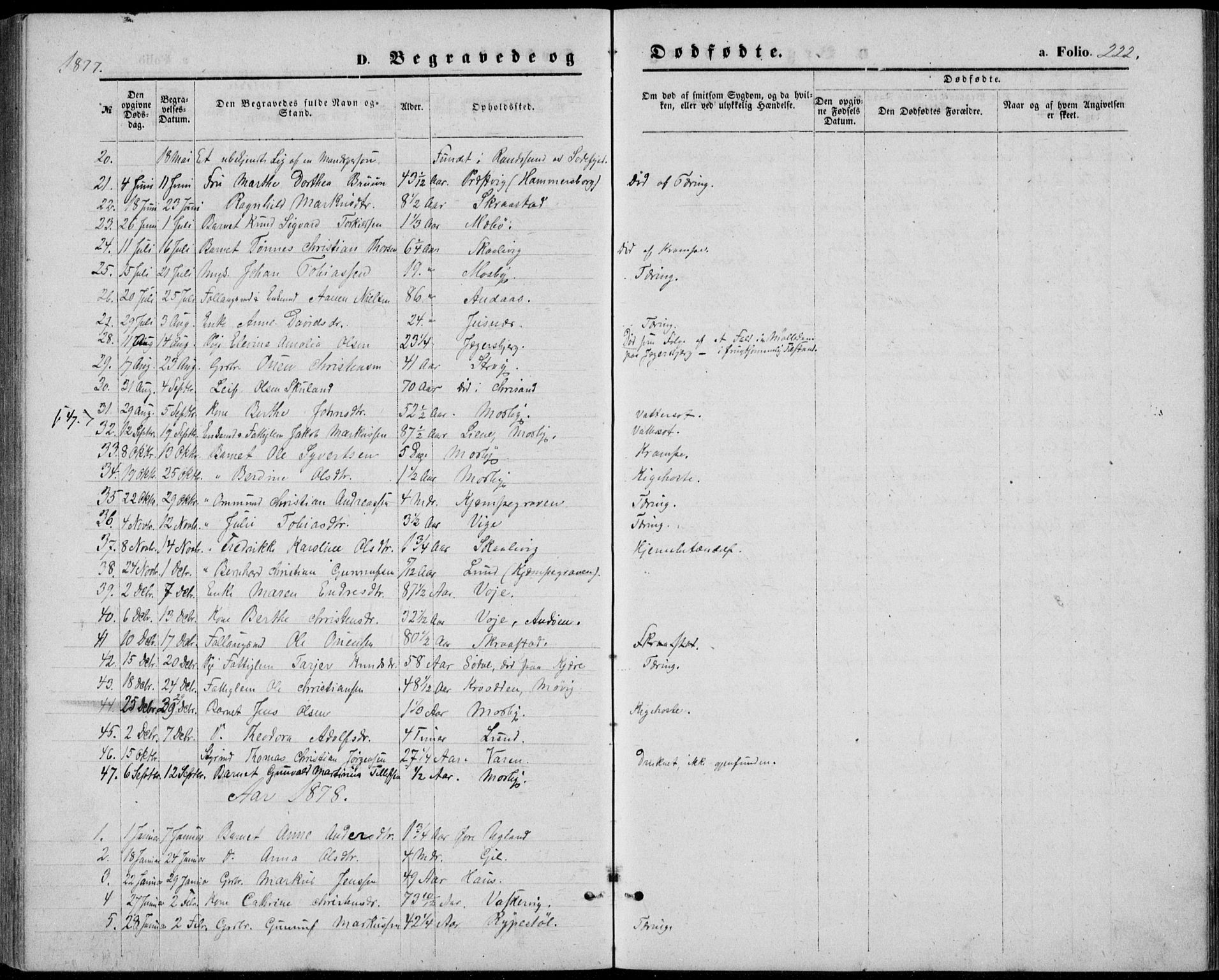 Oddernes sokneprestkontor, AV/SAK-1111-0033/F/Fb/Fba/L0007: Parish register (copy) no. B 7, 1869-1887, p. 222