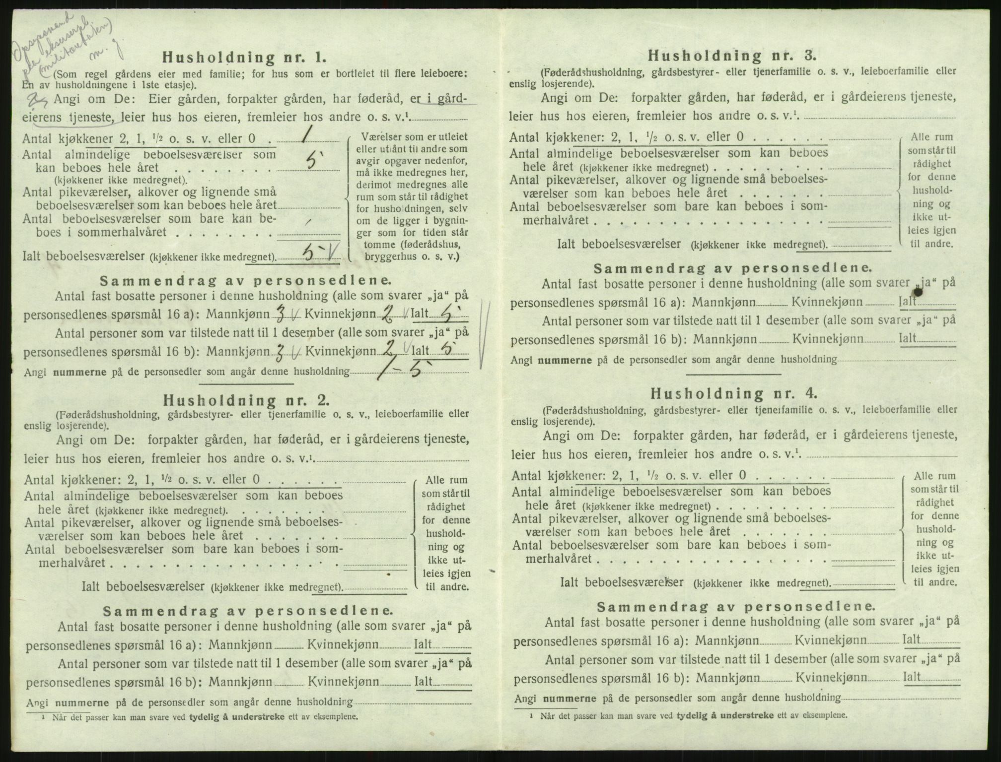 SAK, 1920 census for Hornnes, 1920, p. 202