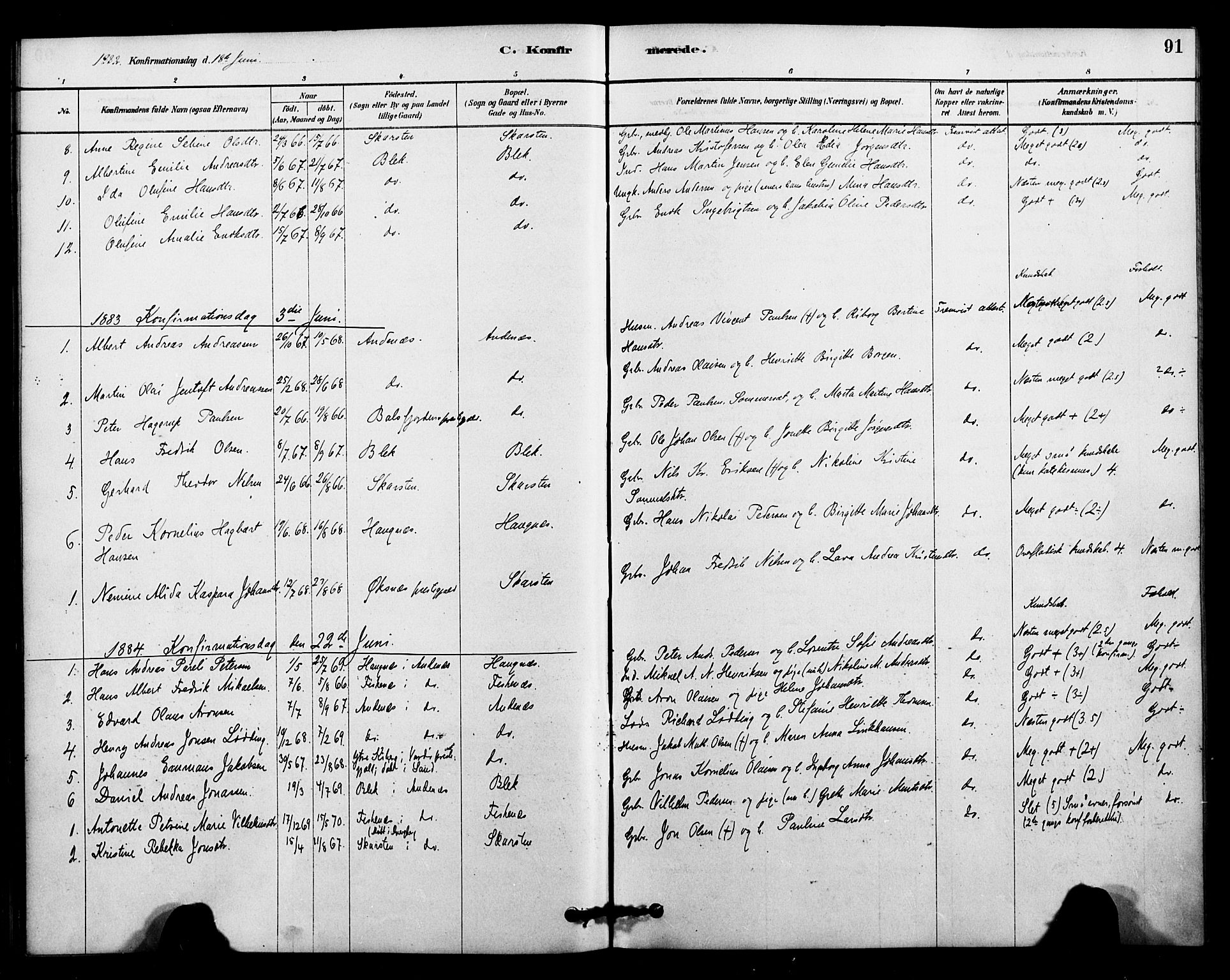 Ministerialprotokoller, klokkerbøker og fødselsregistre - Nordland, AV/SAT-A-1459/899/L1436: Parish register (official) no. 899A04, 1881-1896, p. 91