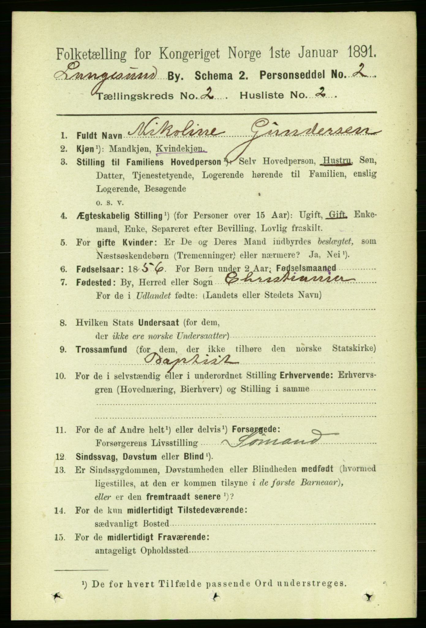 RA, 1891 census for 0802 Langesund, 1891, p. 716