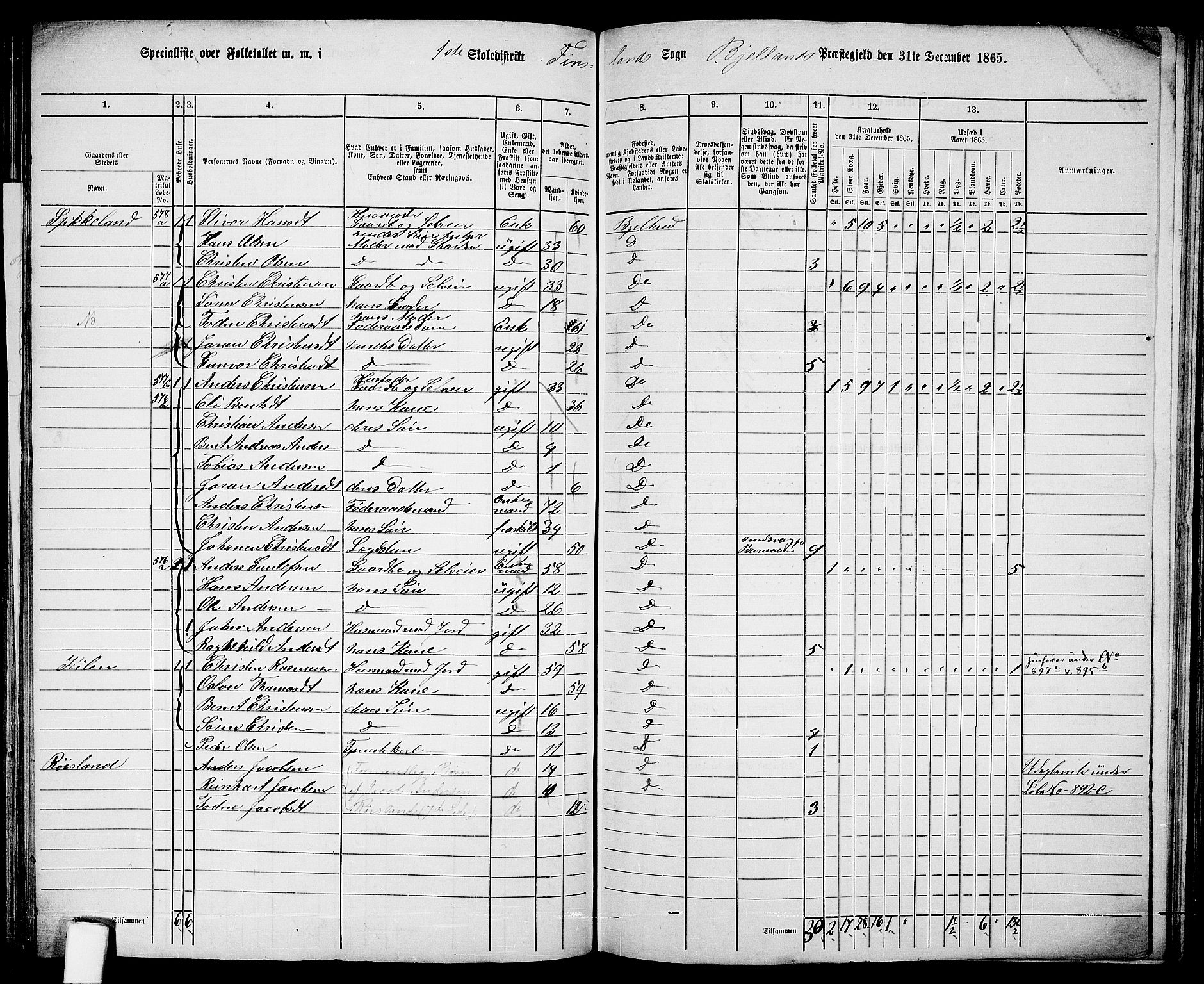 RA, 1865 census for Bjelland, 1865, p. 22