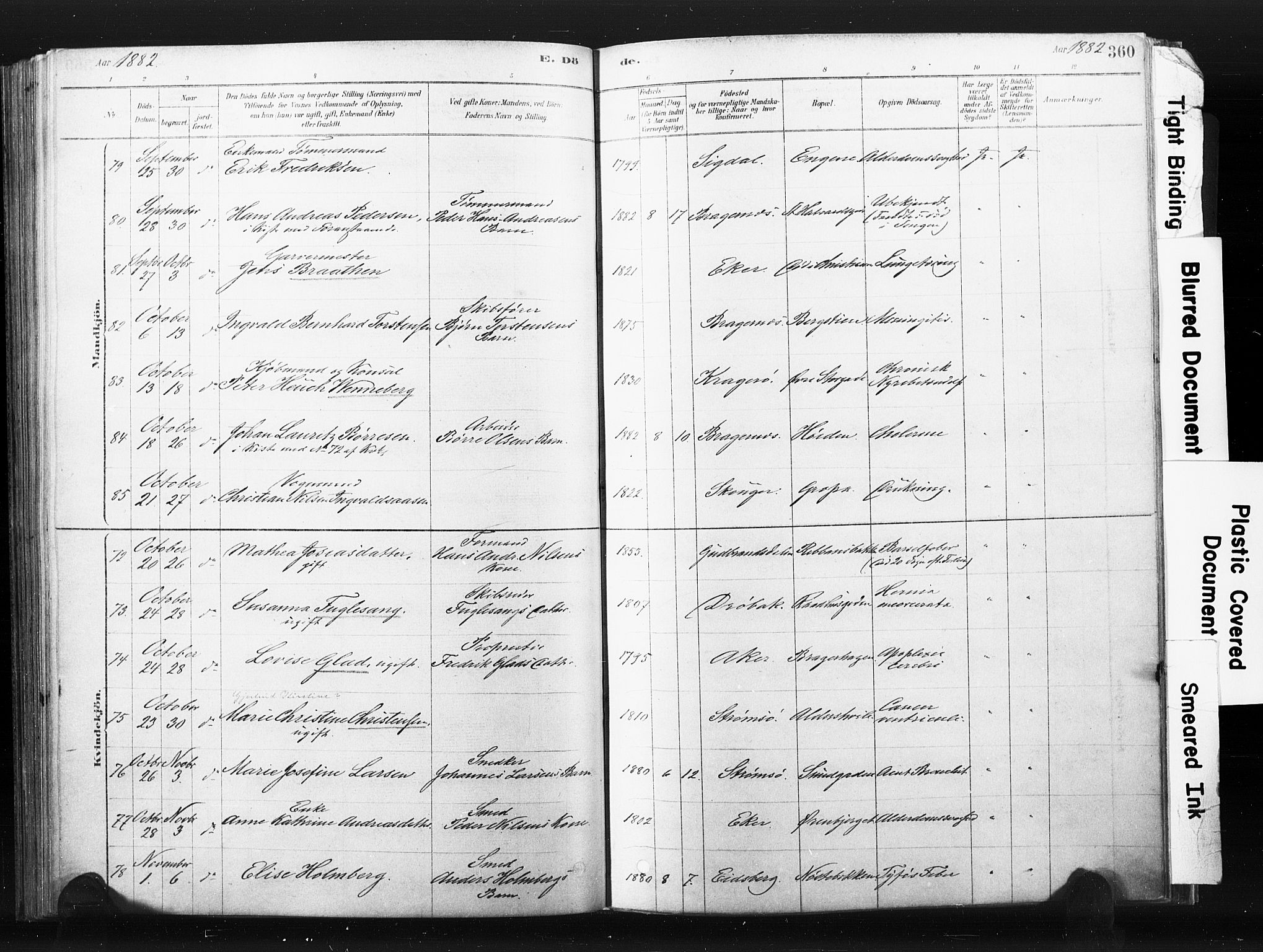 Bragernes kirkebøker, SAKO/A-6/F/Fb/L0006b: Parish register (official) no. II 6B, 1878-1885, p. 360
