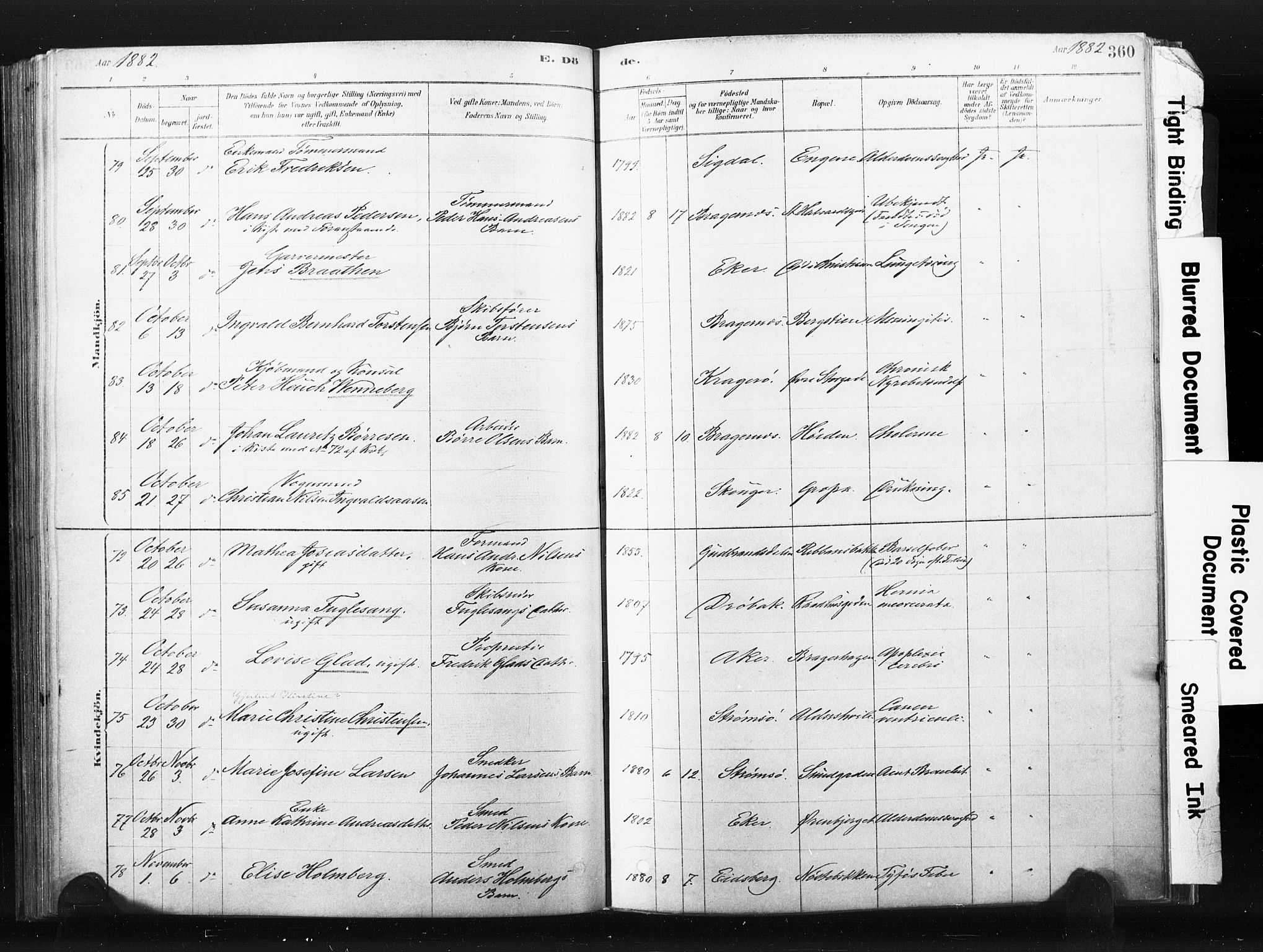 Bragernes kirkebøker, AV/SAKO-A-6/F/Fb/L0006b: Parish register (official) no. II 6B, 1878-1885, p. 360