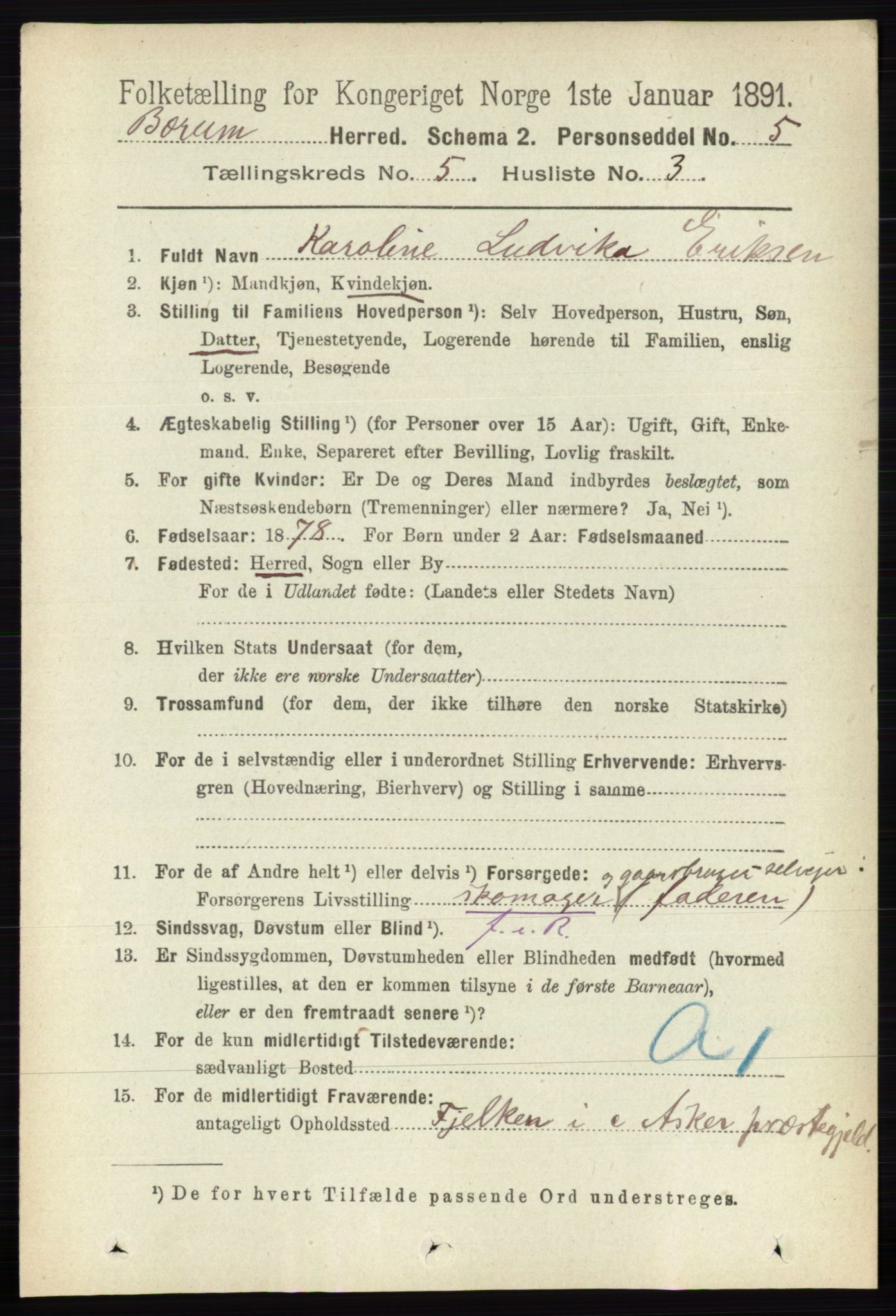 RA, 1891 census for 0219 Bærum, 1891, p. 3025