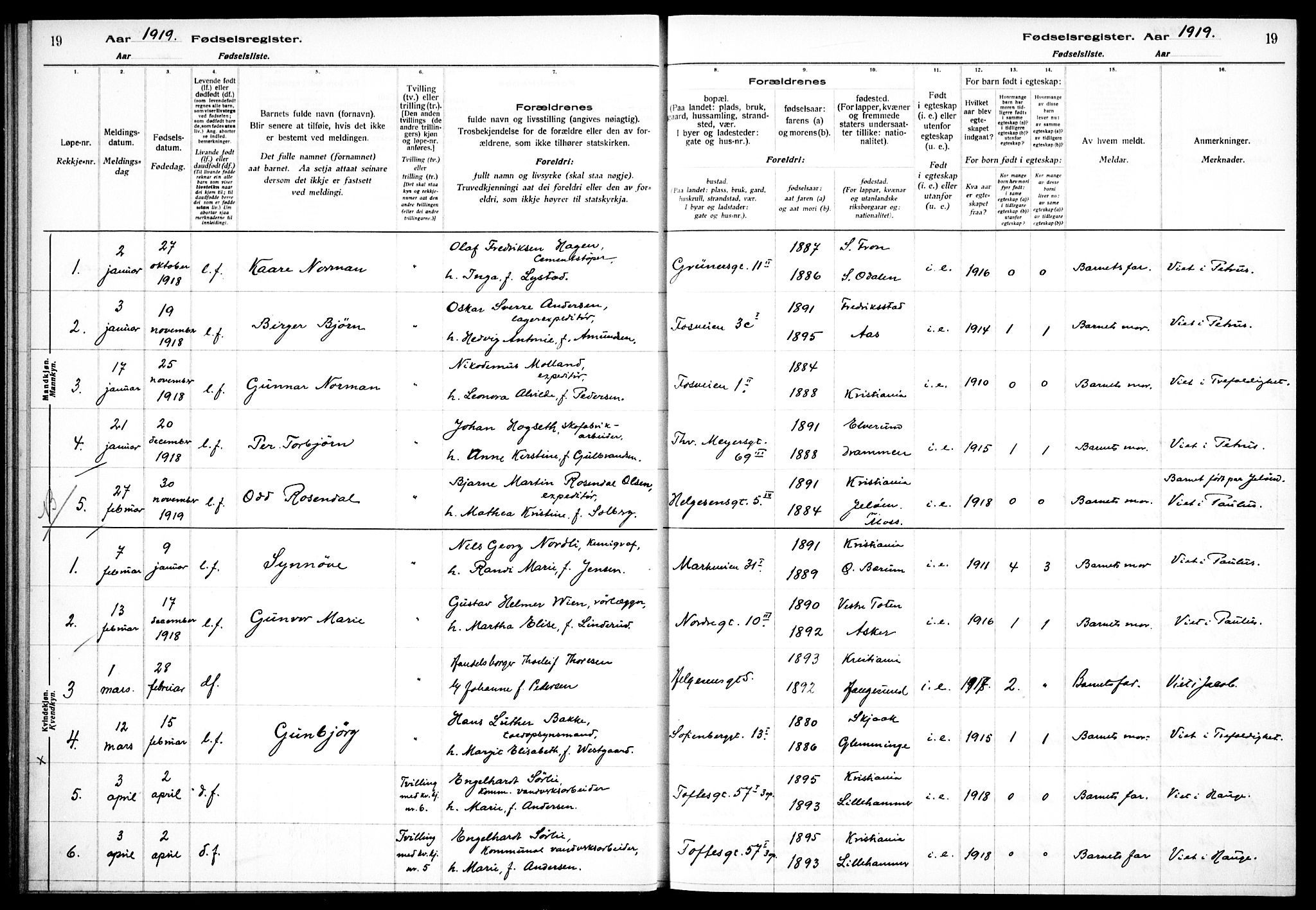 Hauge prestekontor Kirkebøker, AV/SAO-A-10849/J/Ja/L0001: Birth register no. 1, 1917-1938, p. 19