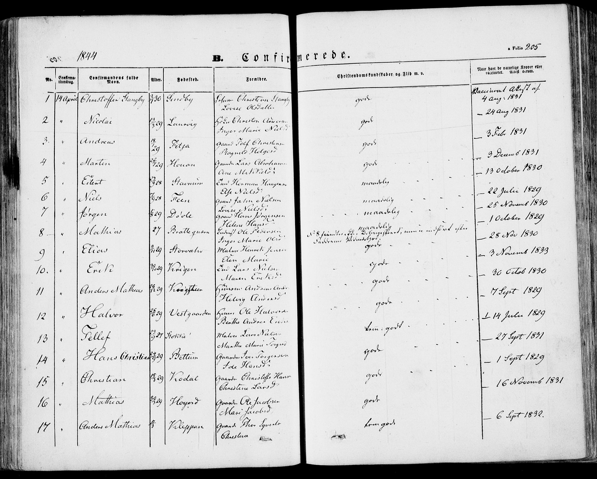 Stokke kirkebøker, SAKO/A-320/F/Fa/L0007: Parish register (official) no. I 7, 1844-1857, p. 205