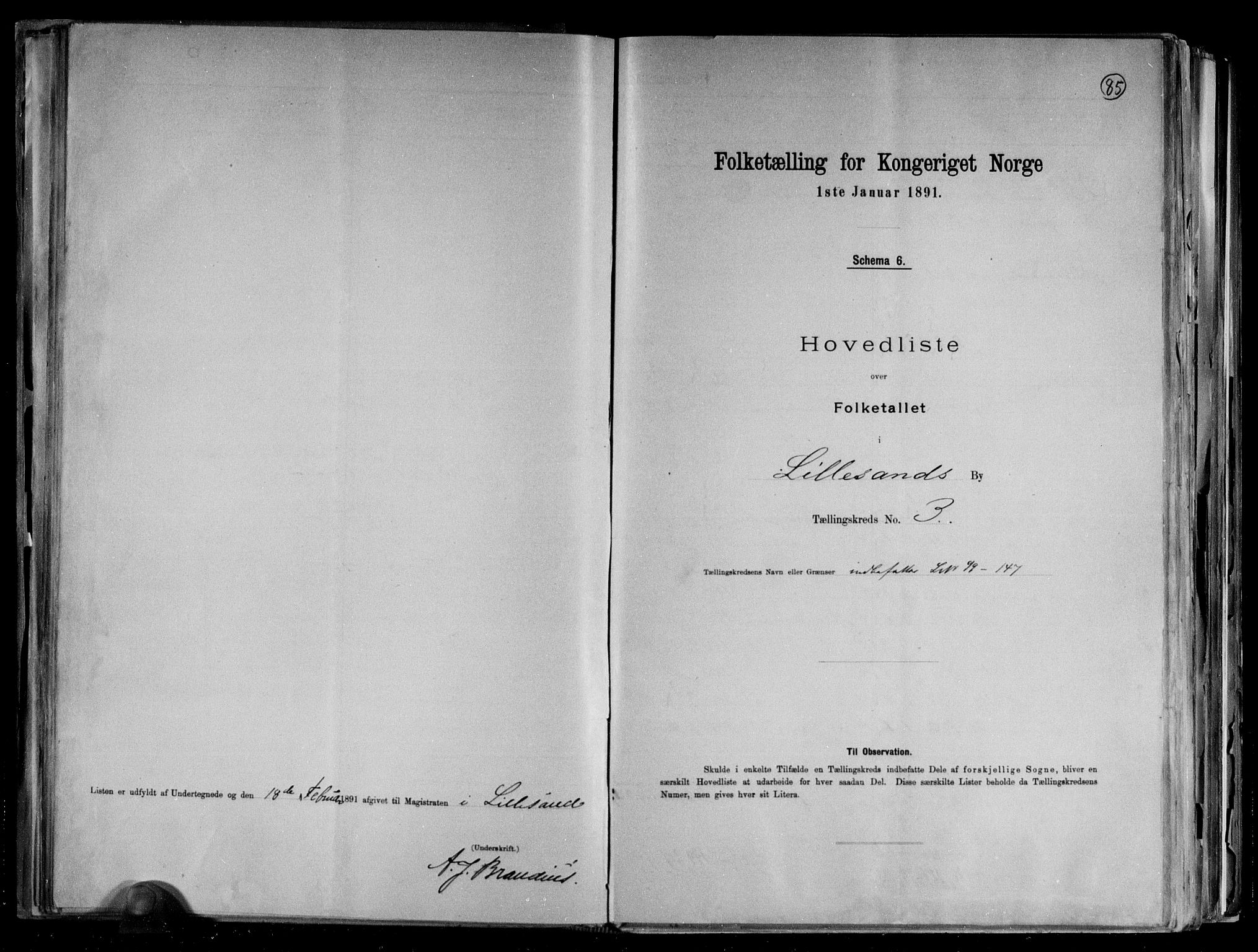 RA, 1891 census for 0905 Lillesand, 1891, p. 9
