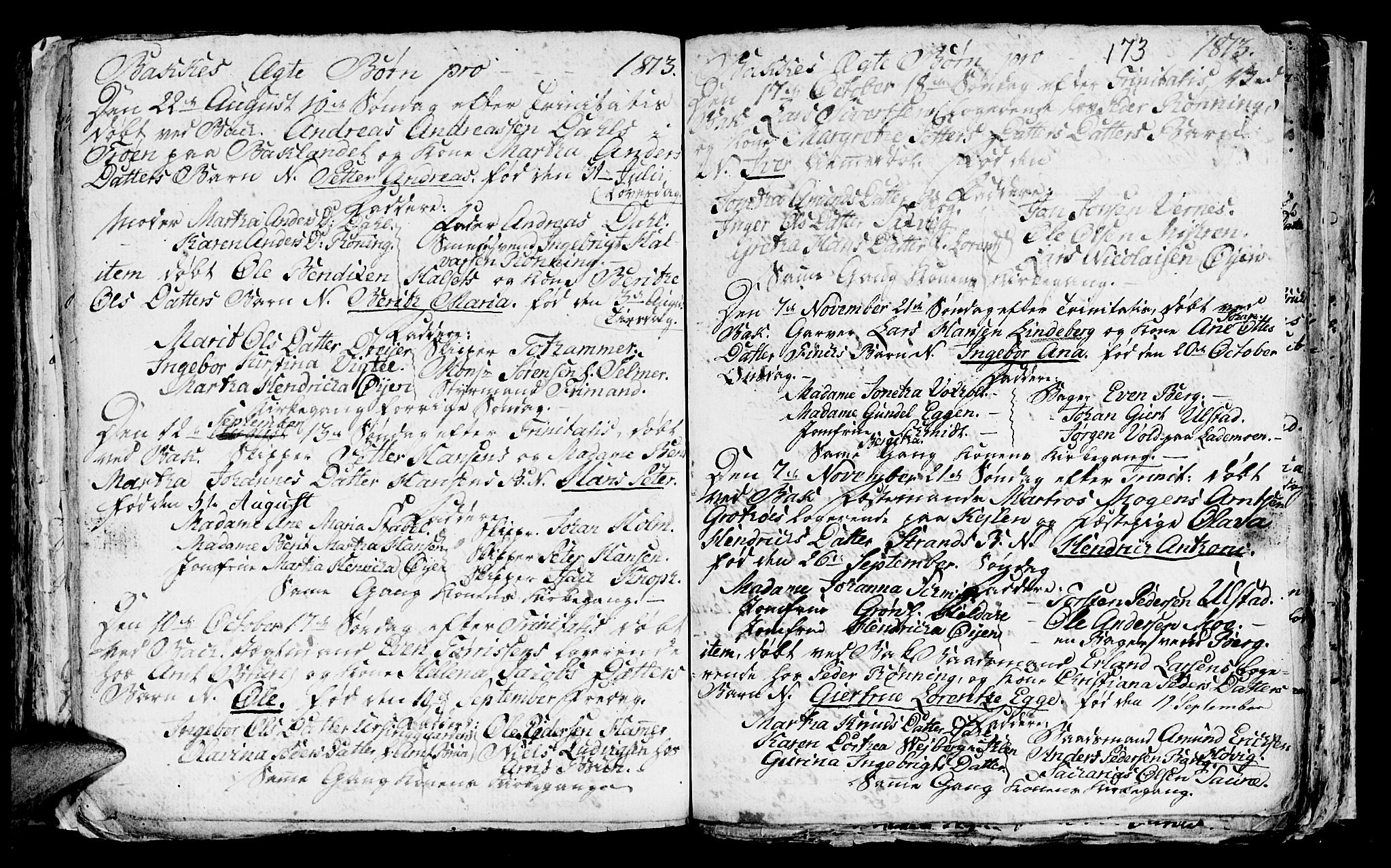 Ministerialprotokoller, klokkerbøker og fødselsregistre - Sør-Trøndelag, AV/SAT-A-1456/604/L0218: Parish register (copy) no. 604C01, 1754-1819, p. 173