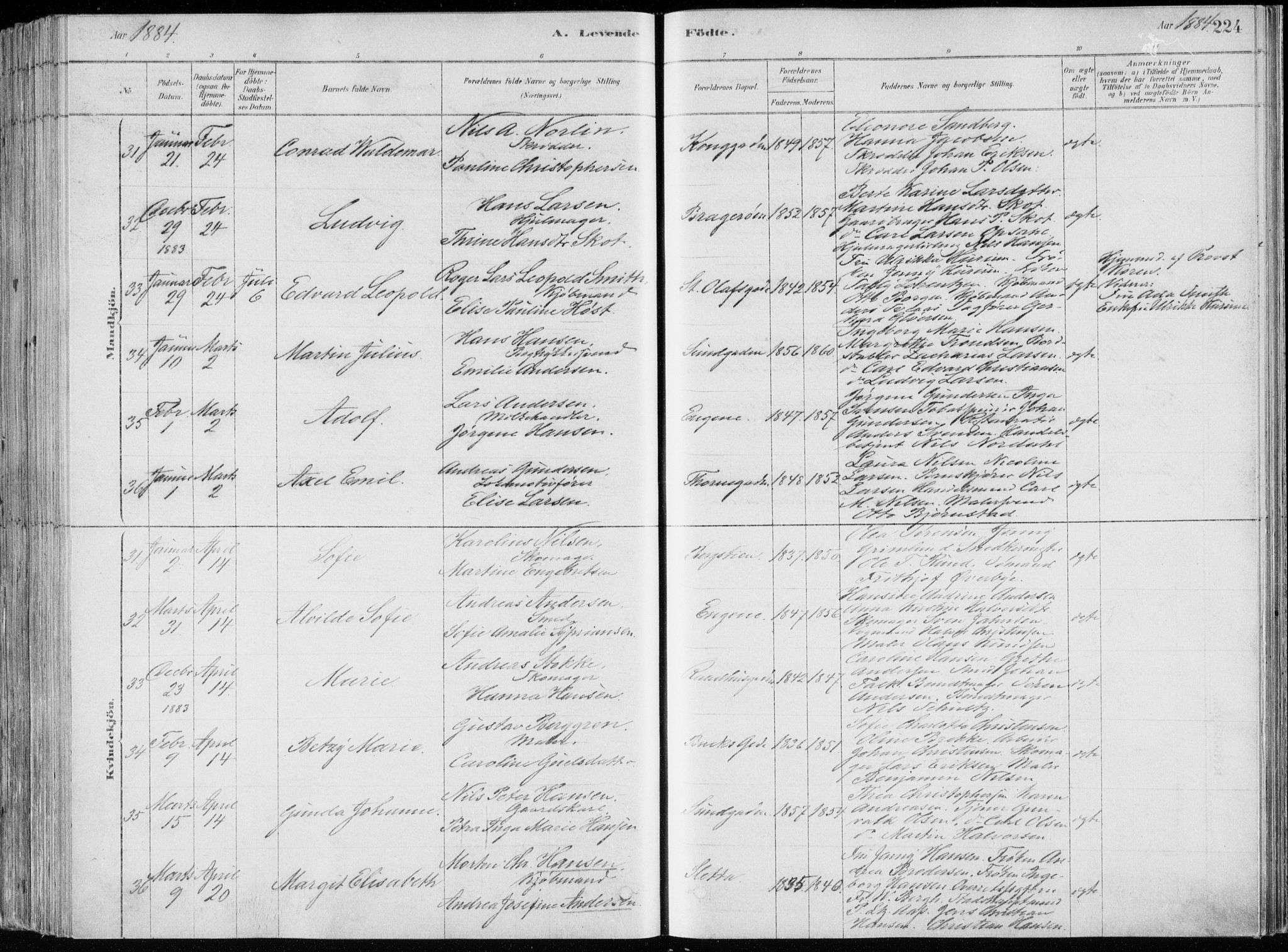 Bragernes kirkebøker, SAKO/A-6/F/Fb/L0006a: Parish register (official) no. II 6A, 1878-1885, p. 224