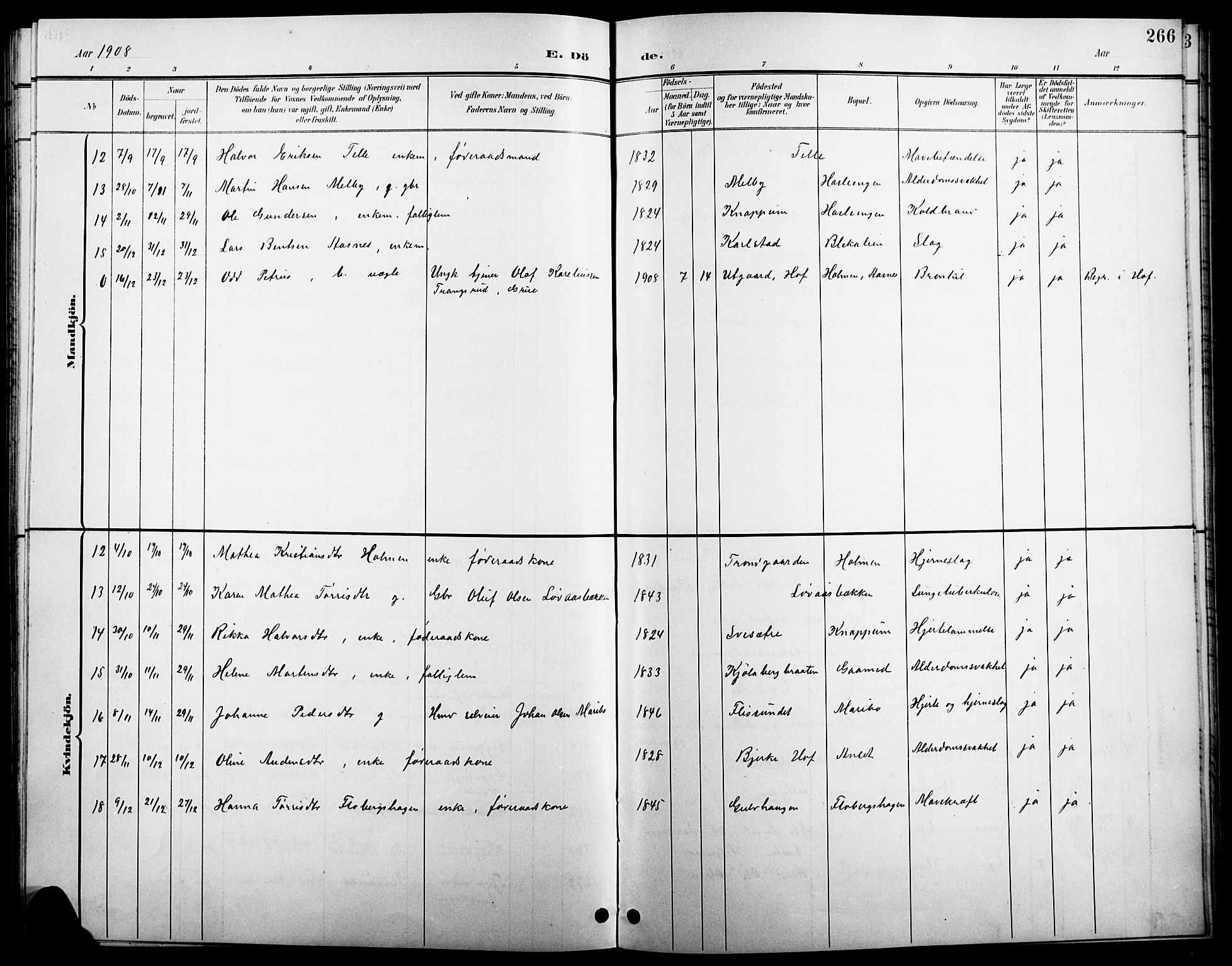 Åsnes prestekontor, SAH/PREST-042/H/Ha/Hab/L0004: Parish register (copy) no. 4, 1895-1909, p. 266