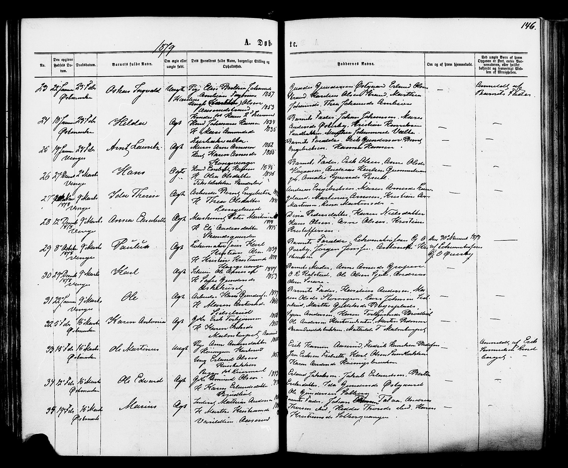 Vinger prestekontor, SAH/PREST-024/H/Ha/Haa/L0012: Parish register (official) no. 12, 1871-1880, p. 146