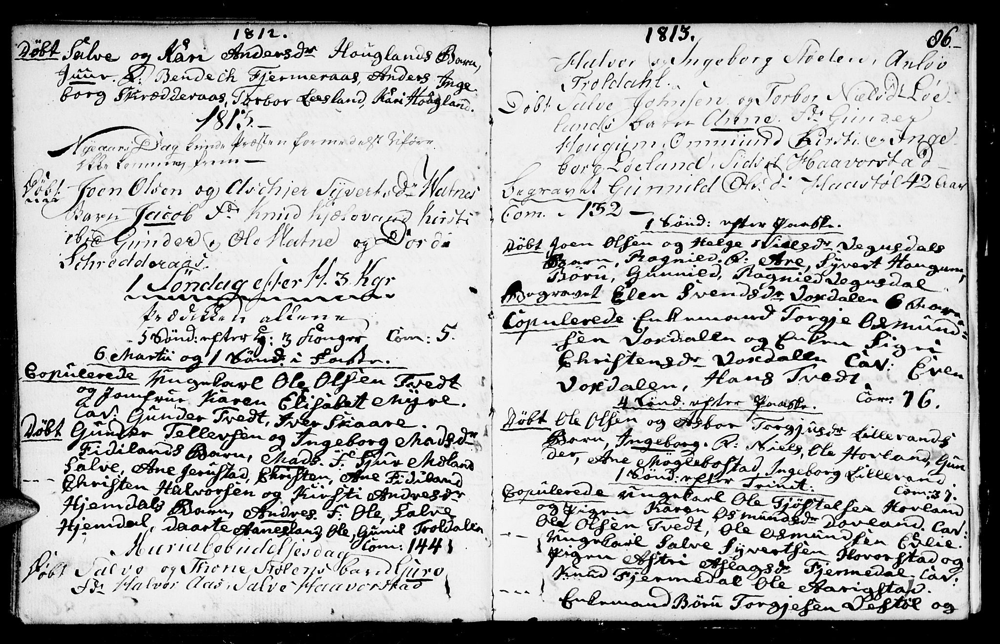 Herefoss sokneprestkontor, SAK/1111-0019/F/Fa/Fab/L0002: Parish register (official) no. A 2, 1780-1816, p. 86