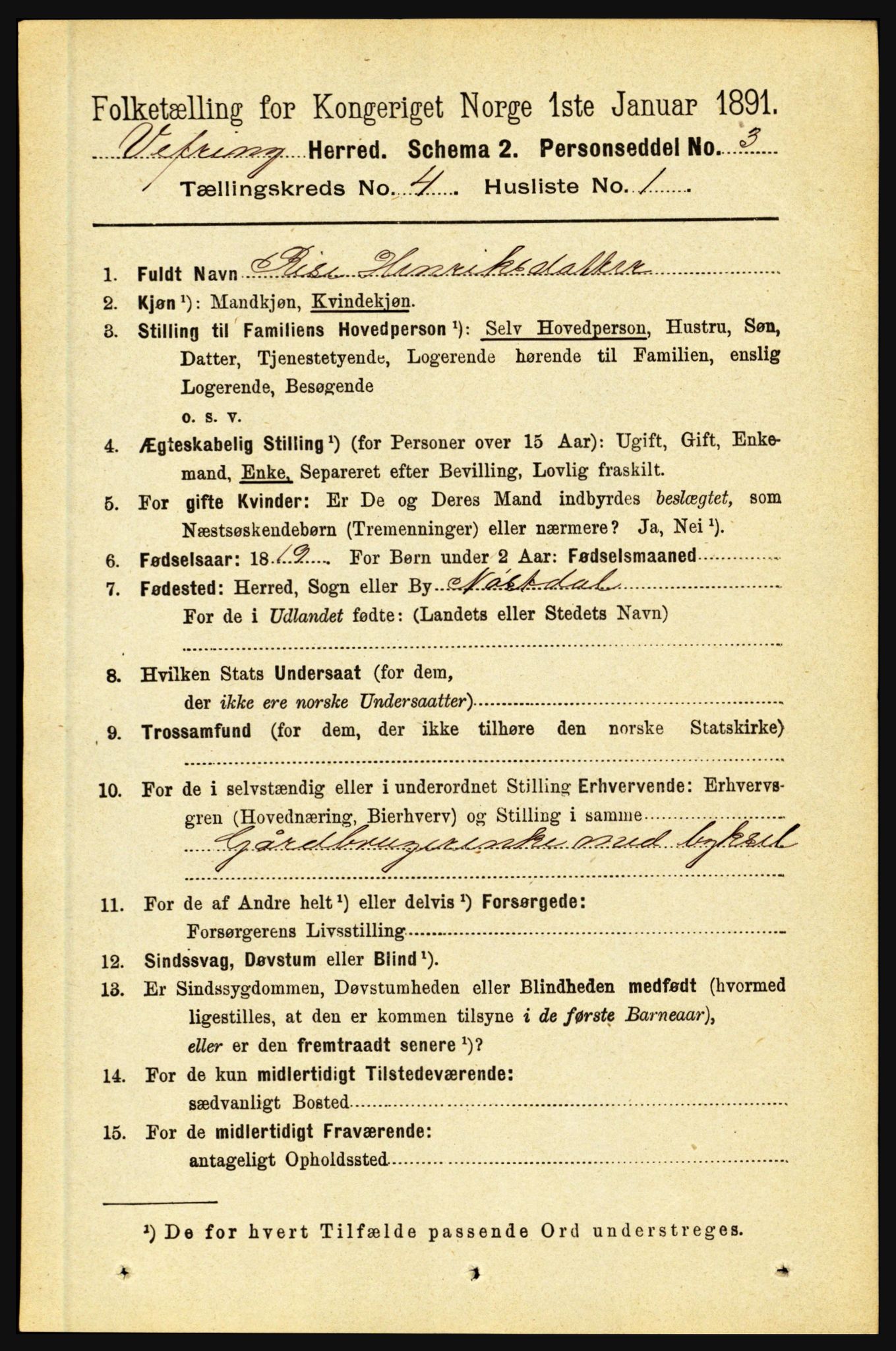 RA, 1891 census for 1434 Vevring, 1891, p. 1202