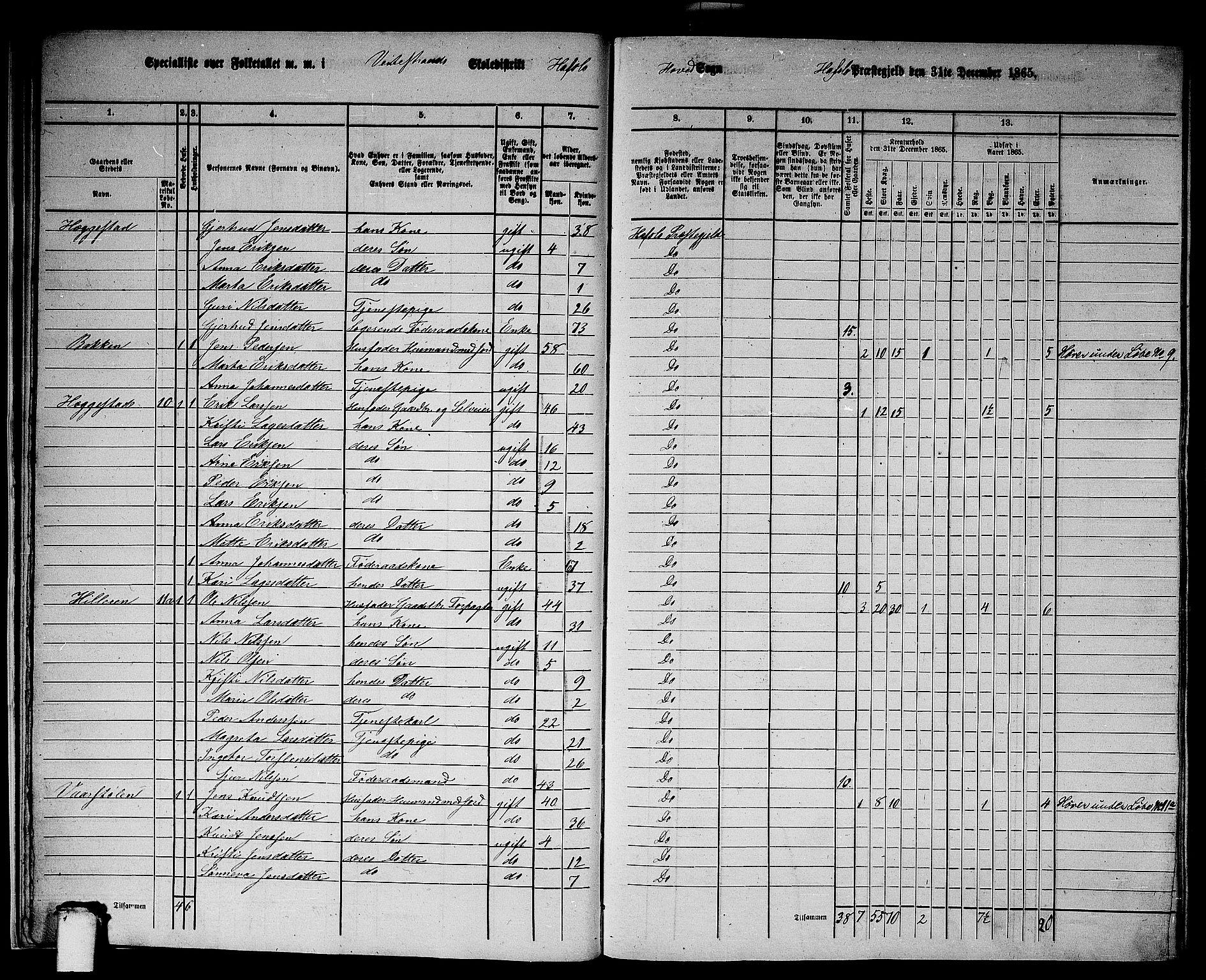 RA, 1865 census for Hafslo, 1865, p. 14