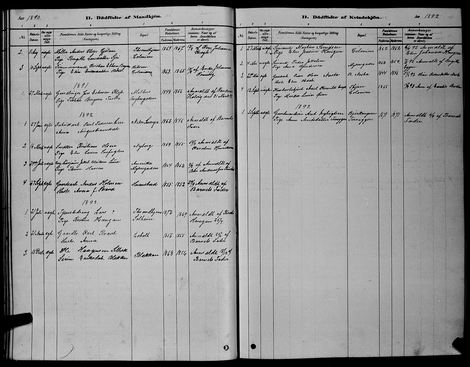 Ministerialprotokoller, klokkerbøker og fødselsregistre - Sør-Trøndelag, AV/SAT-A-1456/606/L0312: Parish register (copy) no. 606C08, 1878-1894