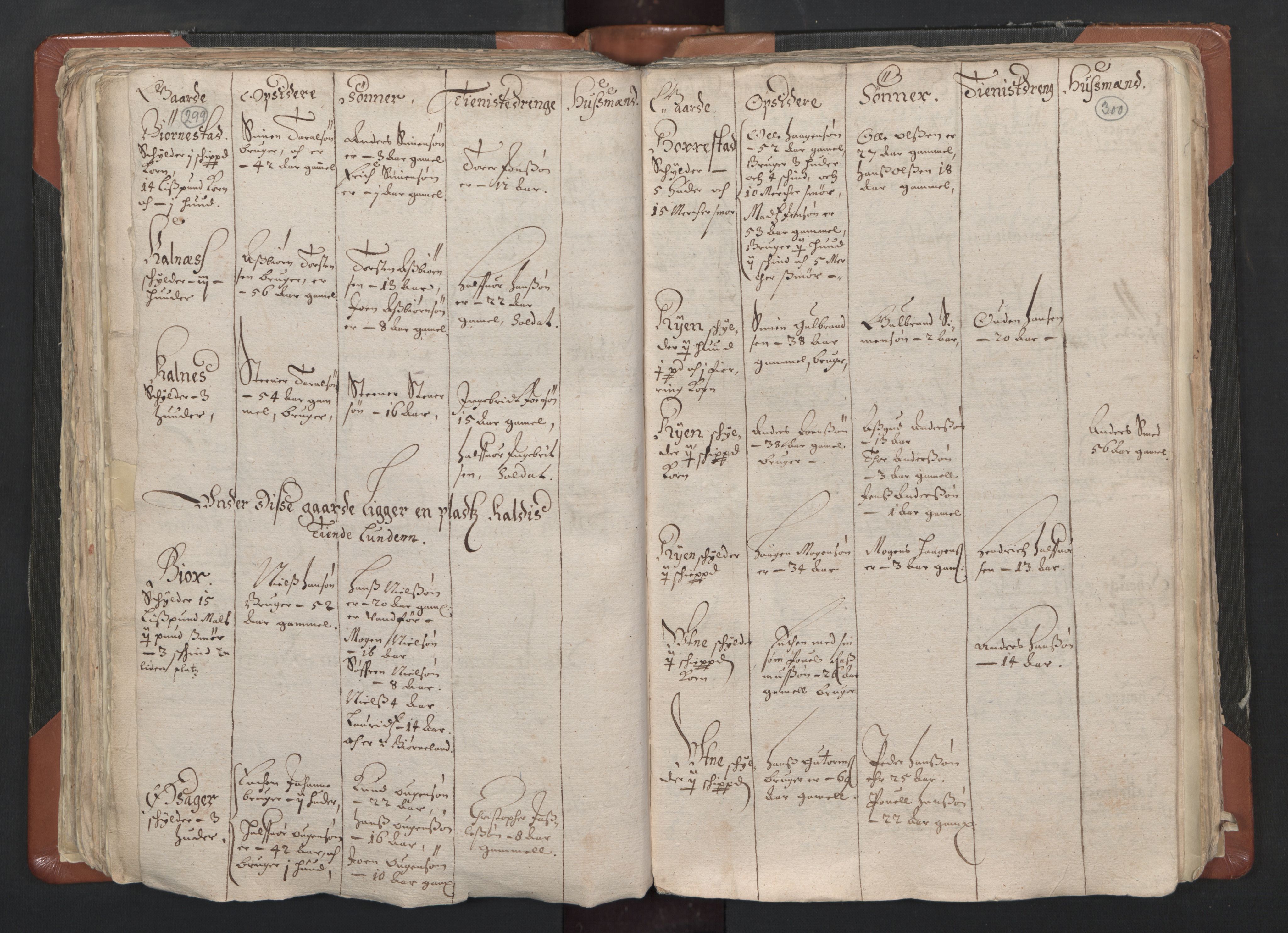 RA, Vicar's Census 1664-1666, no. 1: Nedre Borgesyssel deanery, 1664-1666, p. 299-300