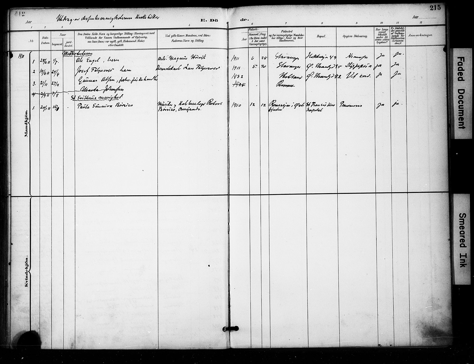 Domkirken sokneprestkontor, SAST/A-101812/001/30/30BA/L0032: Parish register (official) no. A 31, 1896-1917, p. 215