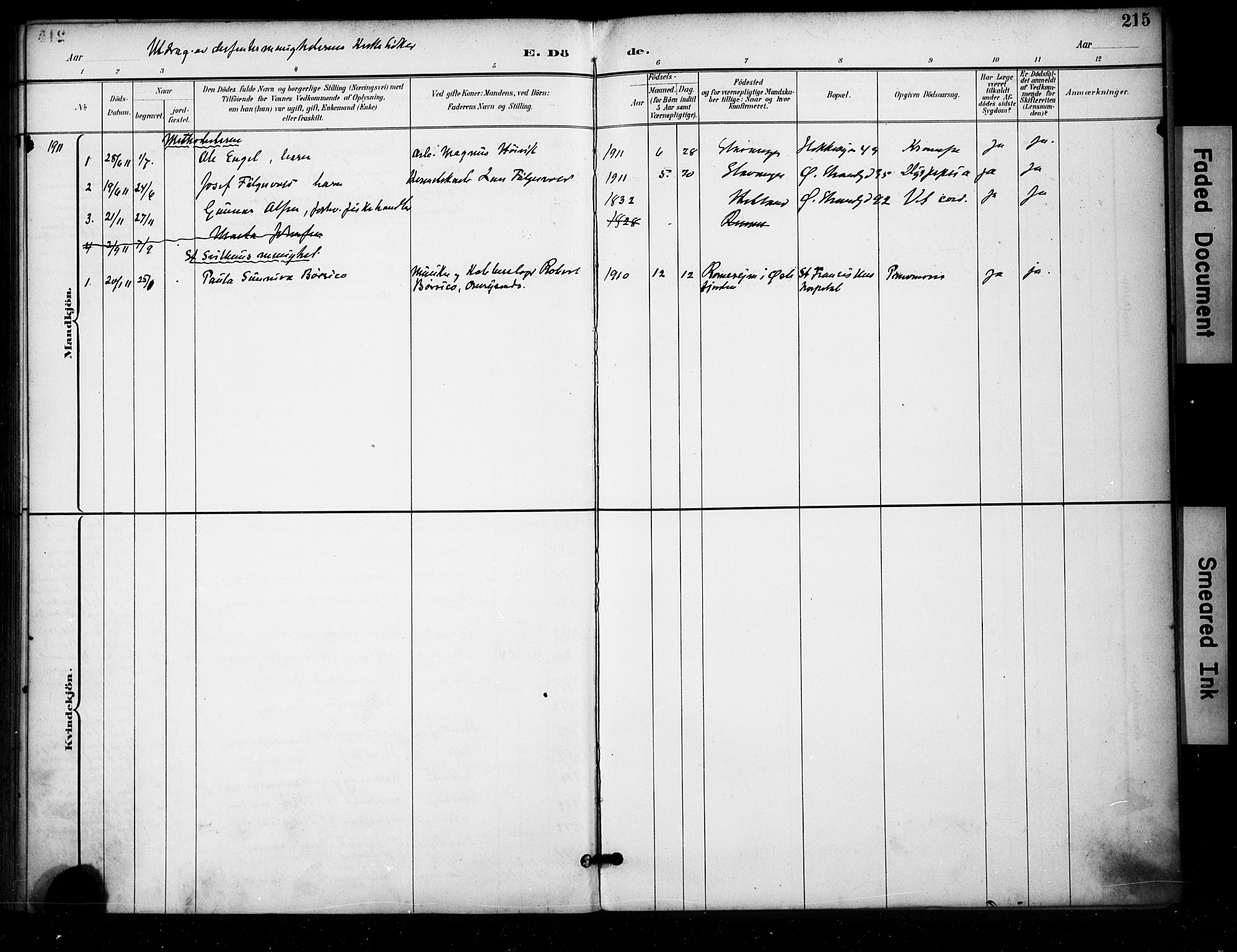 Domkirken sokneprestkontor, AV/SAST-A-101812/001/30/30BA/L0032: Parish register (official) no. A 31, 1896-1917, p. 215