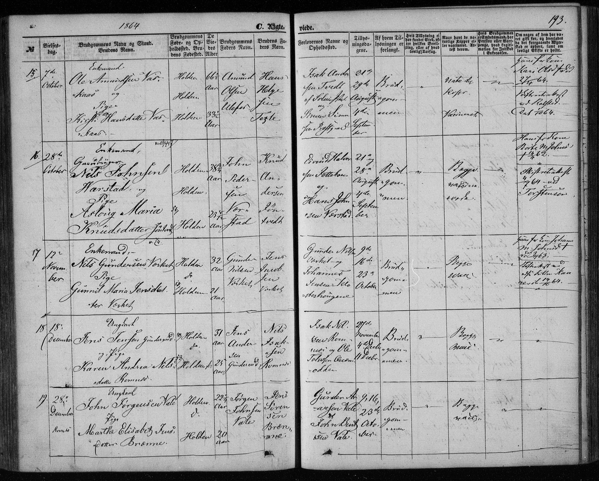 Holla kirkebøker, AV/SAKO-A-272/F/Fa/L0006: Parish register (official) no. 6, 1861-1869, p. 193