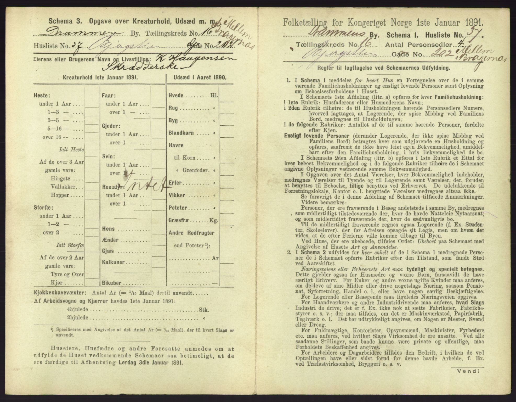 RA, 1891 census for 0602 Drammen, 1891, p. 1389