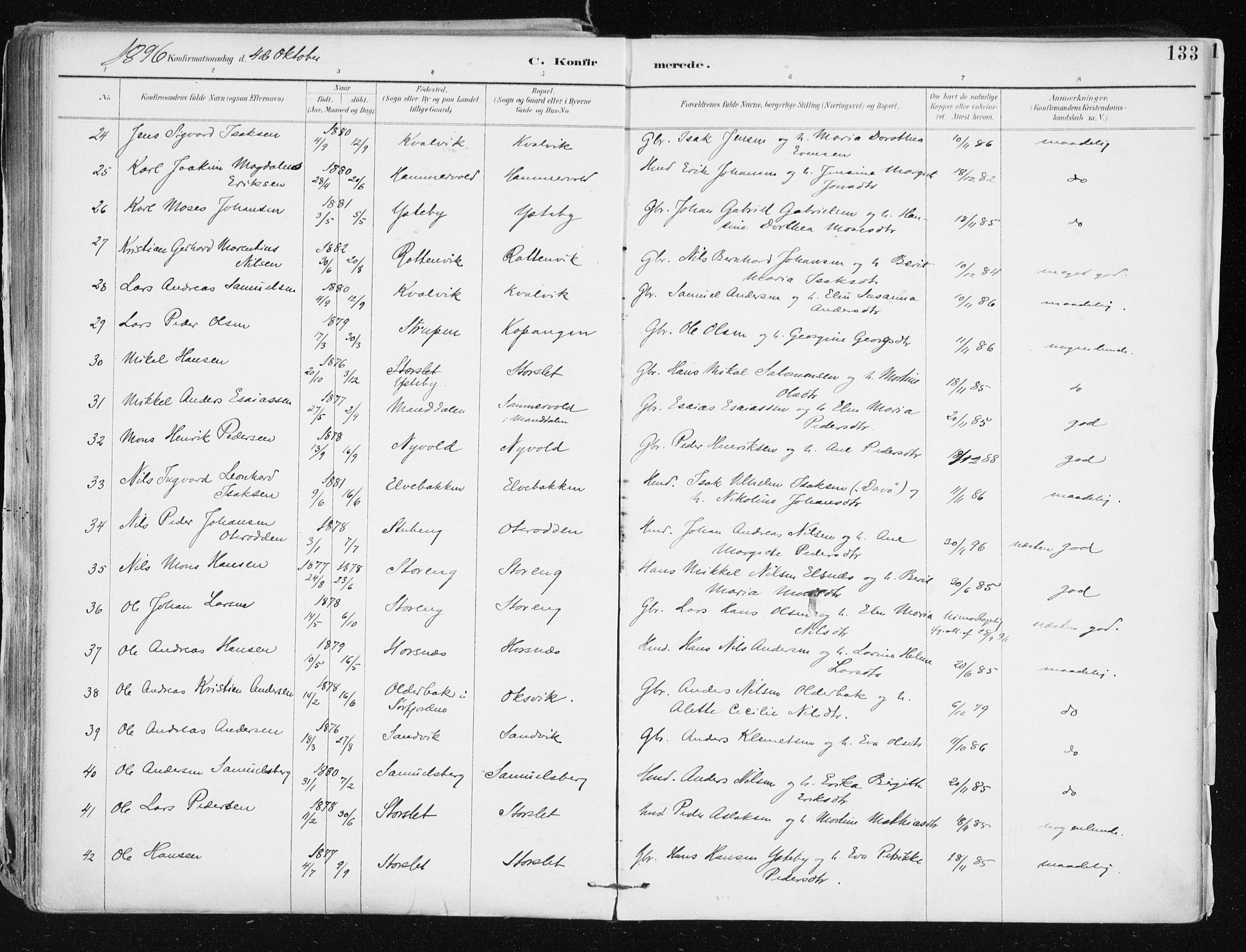 Lyngen sokneprestembete, SATØ/S-1289/H/He/Hea/L0008kirke: Parish register (official) no. 8, 1891-1902, p. 133