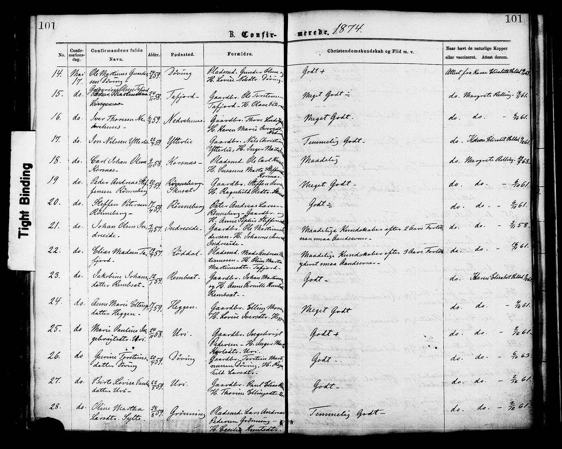 Ministerialprotokoller, klokkerbøker og fødselsregistre - Møre og Romsdal, AV/SAT-A-1454/519/L0254: Parish register (official) no. 519A13, 1868-1883, p. 101