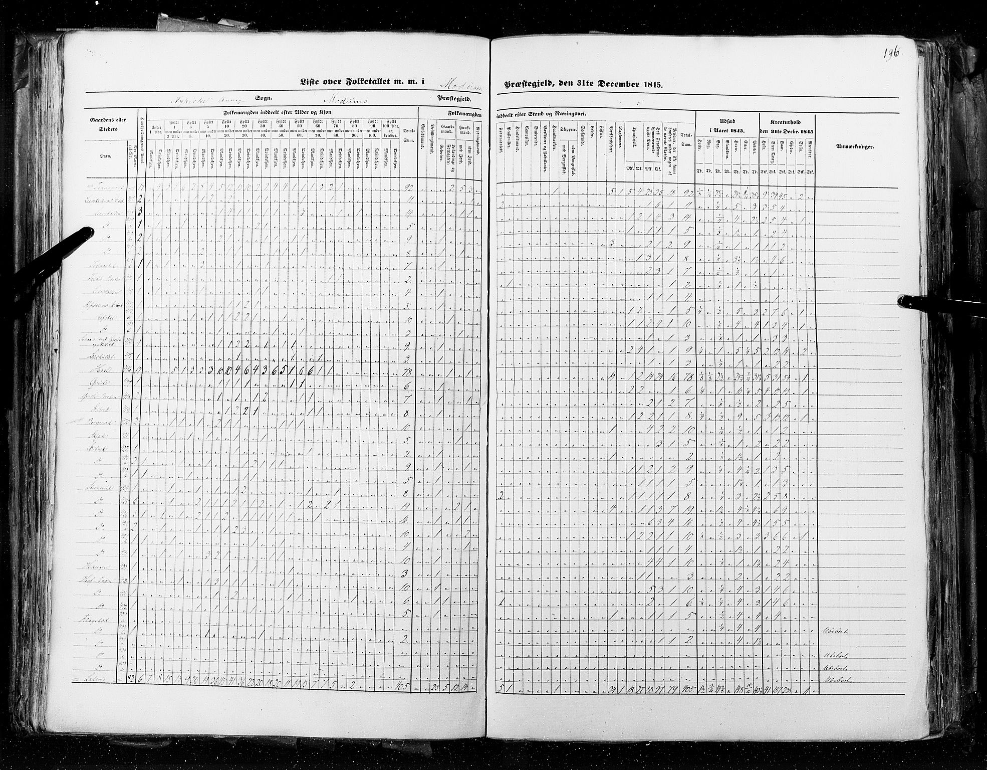 RA, Census 1845, vol. 4: Buskerud amt og Jarlsberg og Larvik amt, 1845, p. 196