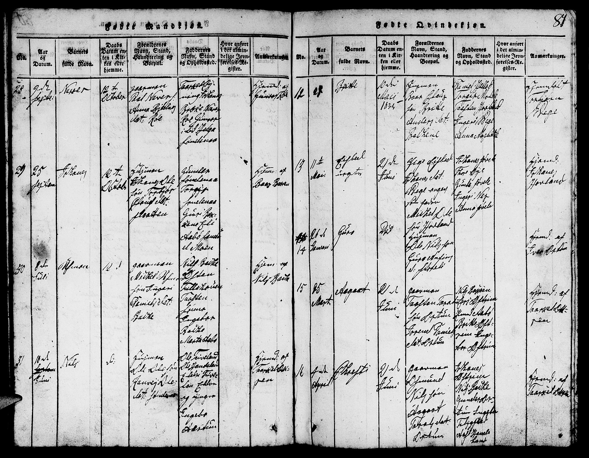 Suldal sokneprestkontor, AV/SAST-A-101845/01/V/L0002: Parish register (copy) no. B 2, 1816-1845, p. 81