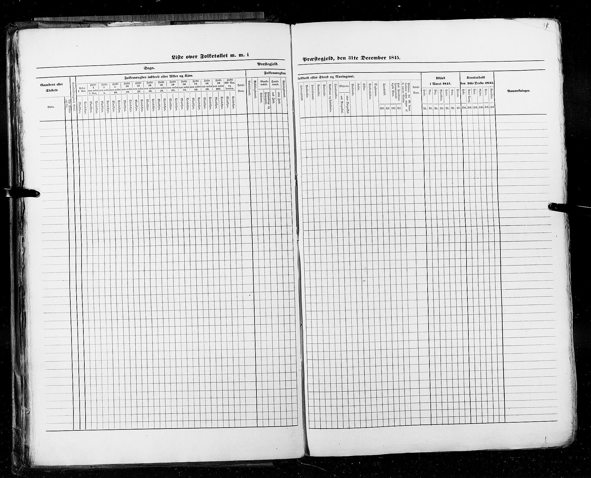 RA, Census 1845, vol. 5: Bratsberg amt og Nedenes og Råbyggelaget amt, 1845, p. 34