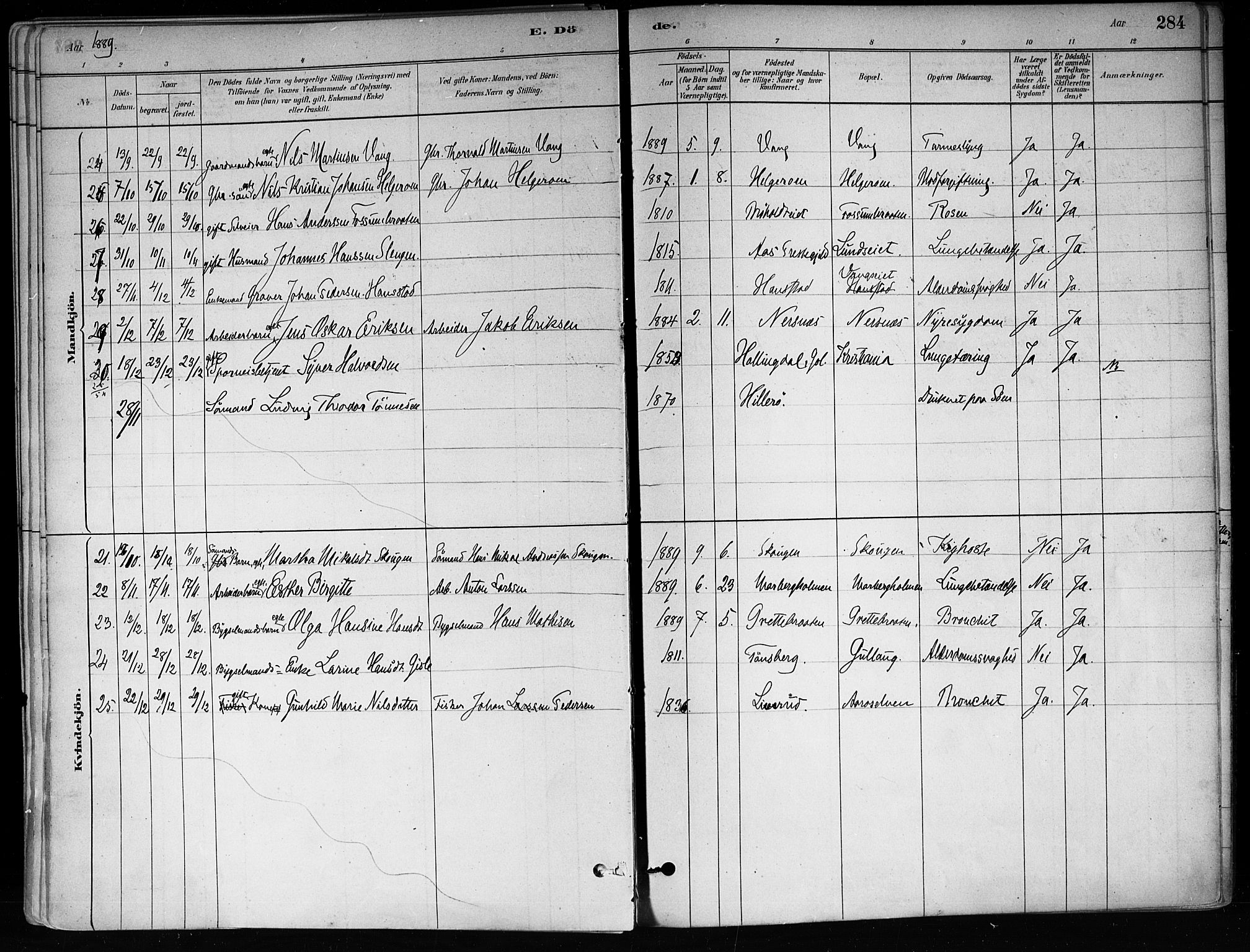 Røyken kirkebøker, SAKO/A-241/F/Fa/L0008: Parish register (official) no. 8, 1880-1897, p. 284